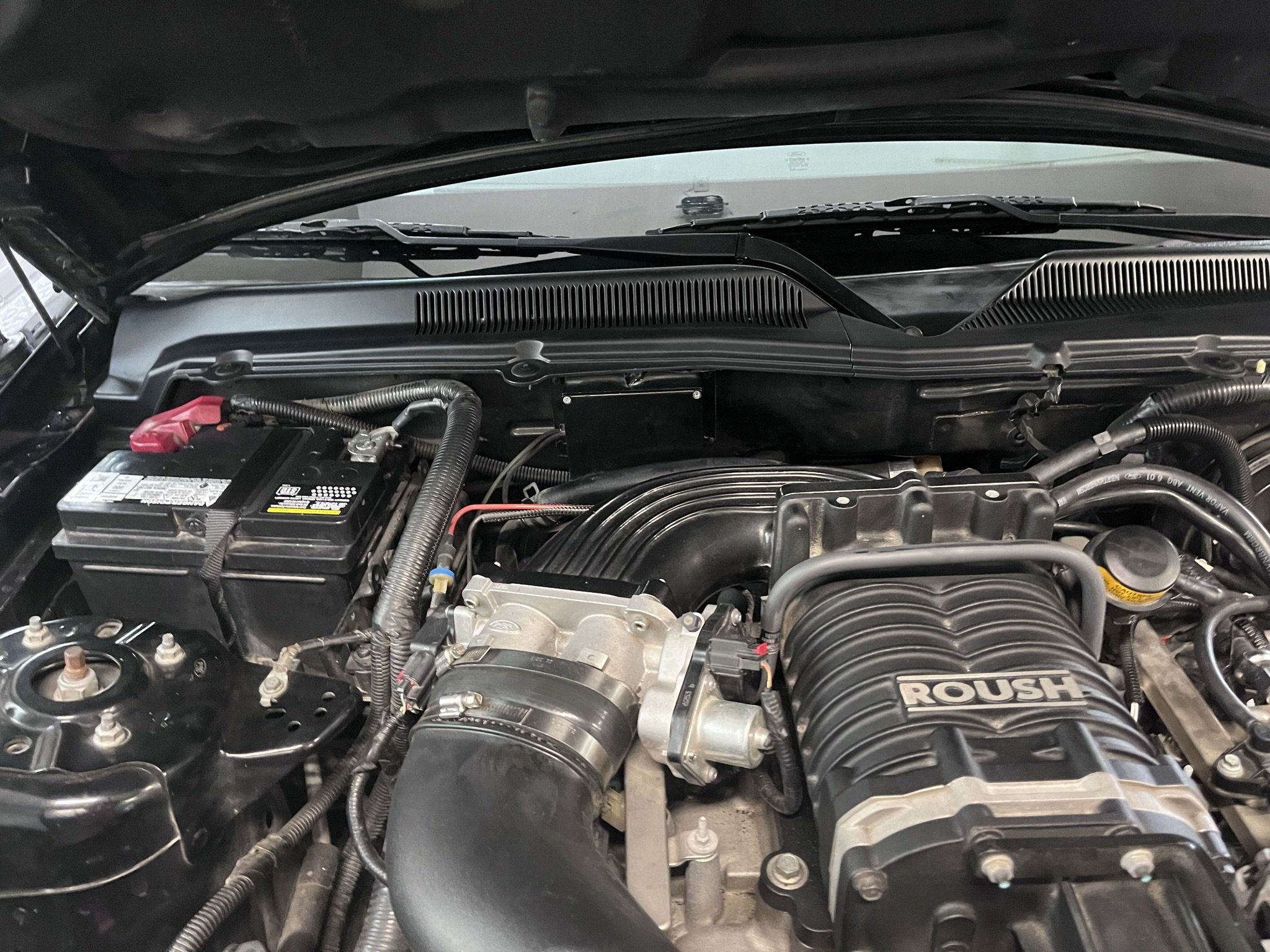 Wallpaper #22jVFpMBSpphPi3-RAwu93 Roush Supercharger on 2006 GT Ford Mustang Forum