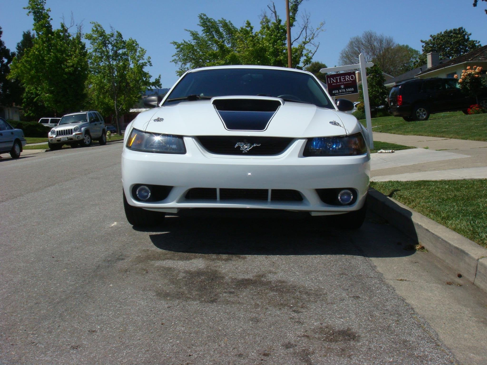 Wallpaper #ZxeiPpMBPLD5_VENJeDY121 2001 Ford Mustang Cobra Front Bumper