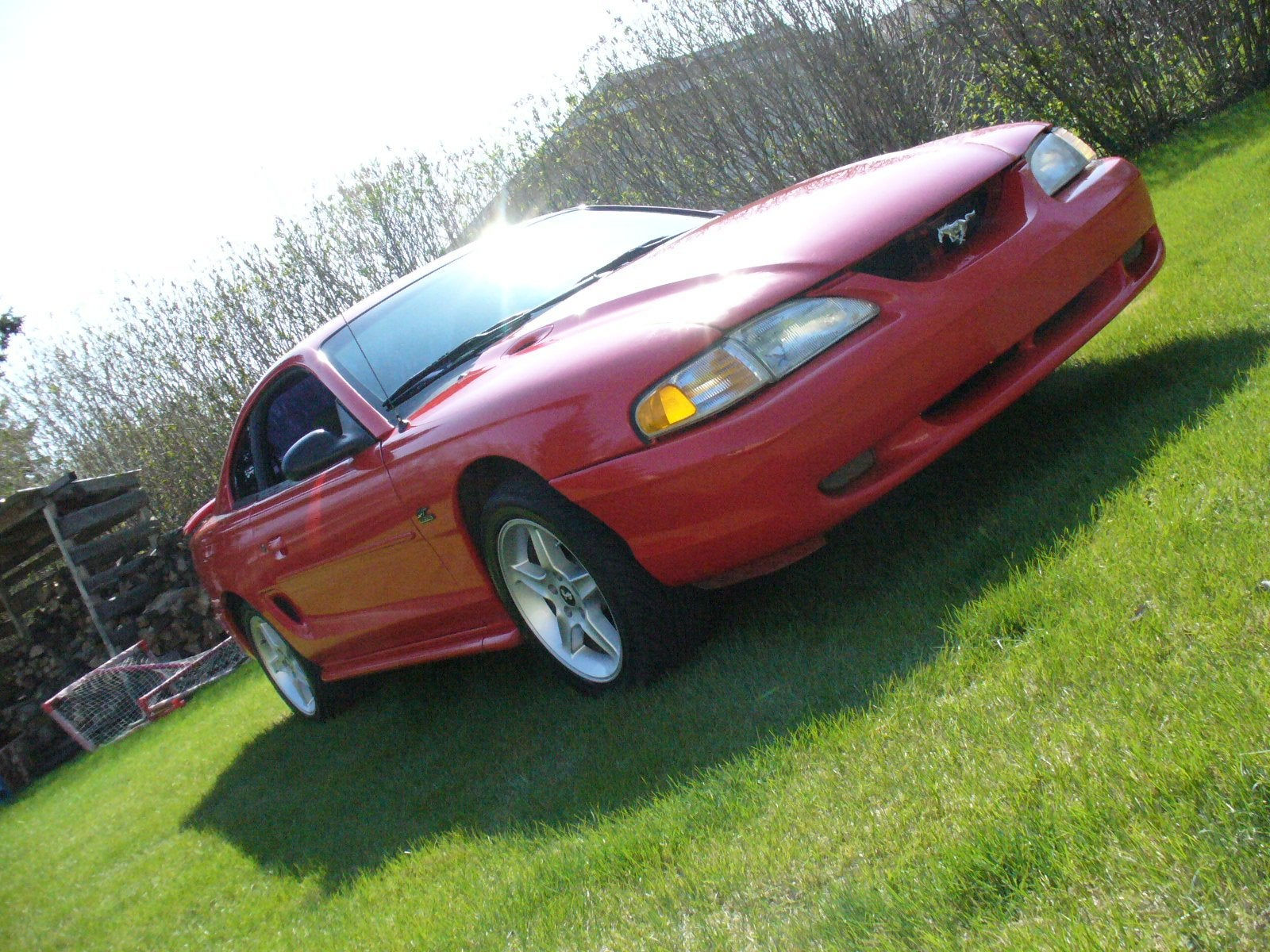 Wallpaper #wCb2mpcBNyflpn9rNYmm123 1994 1998 Sn95 Ford Mustang Picture Thread Ford Mustang Forum