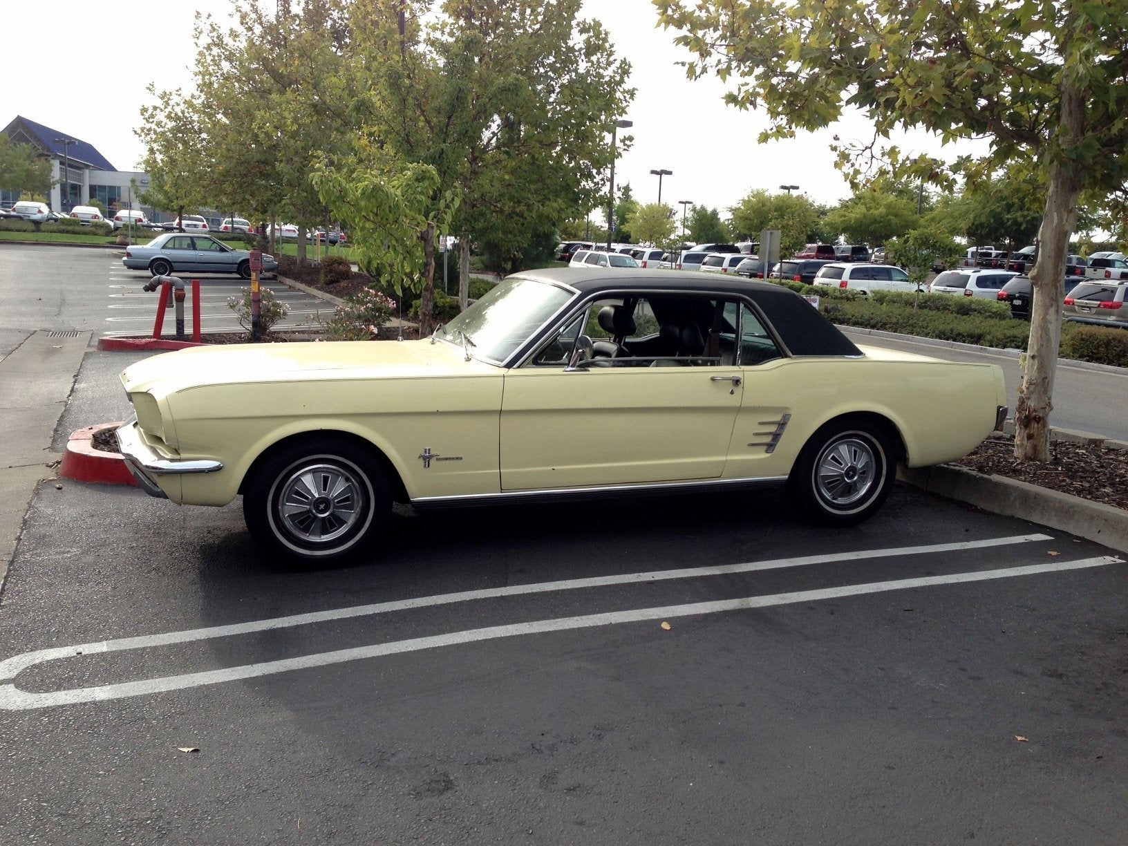 Wallpaper #GLjO1ZIBJvJKYCmEwdst366 Mustang 4 Lug Pattern
