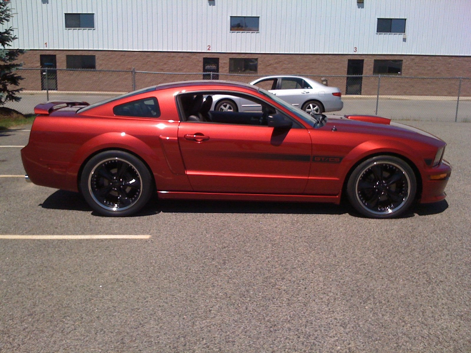 Wallpaper #NuqXVpMBlwTYPL18fBA831 Lowering Stock 2005 Mustang GT Page 2 Ford Mustang Forum