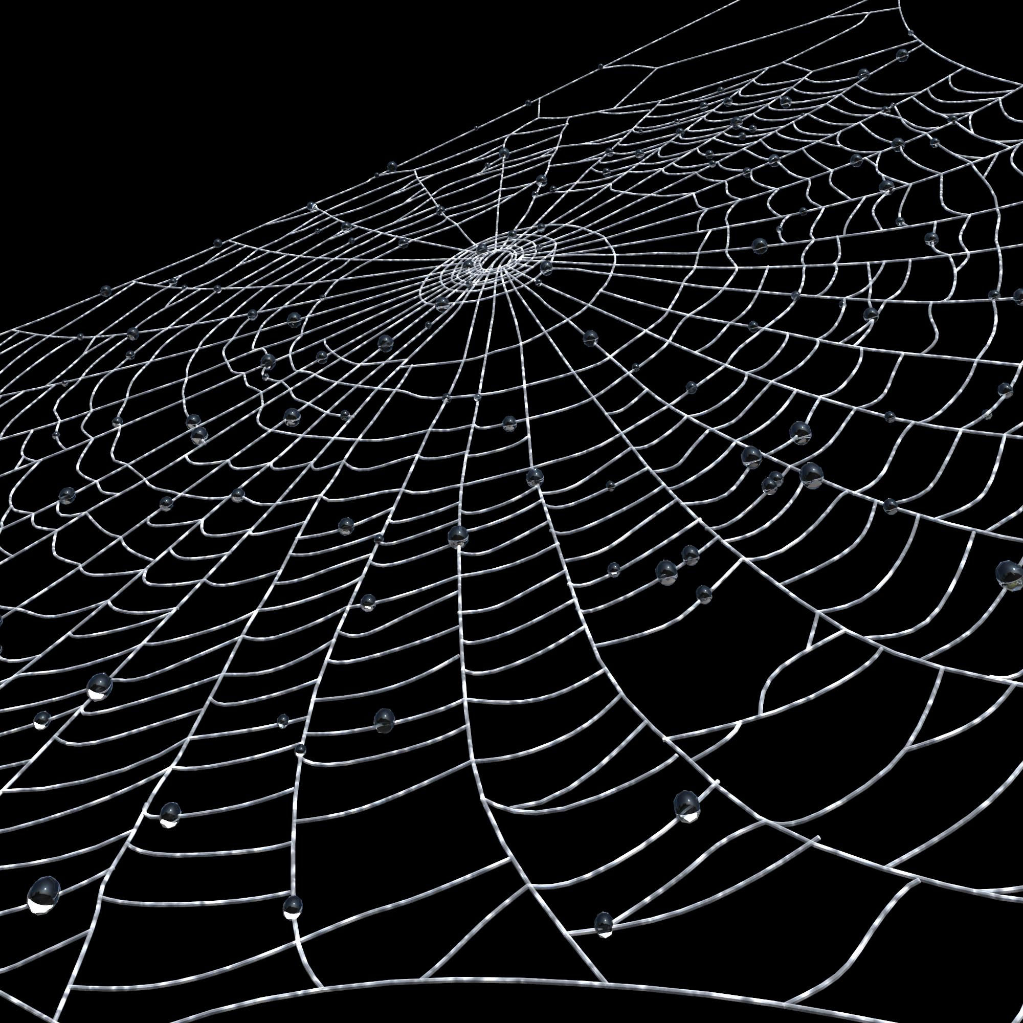 Wallpaper #xhmUEo8BtGB6xQ78j2OD57 Spiderweb 3D Model