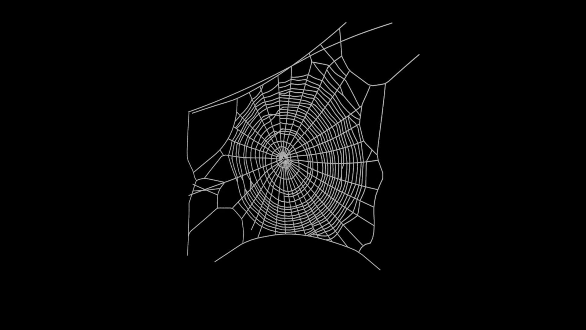 Wallpaper #xhmUEo8BtGB6xQ78j2OD12 3D Spider Web Model Turbosquid 1740723