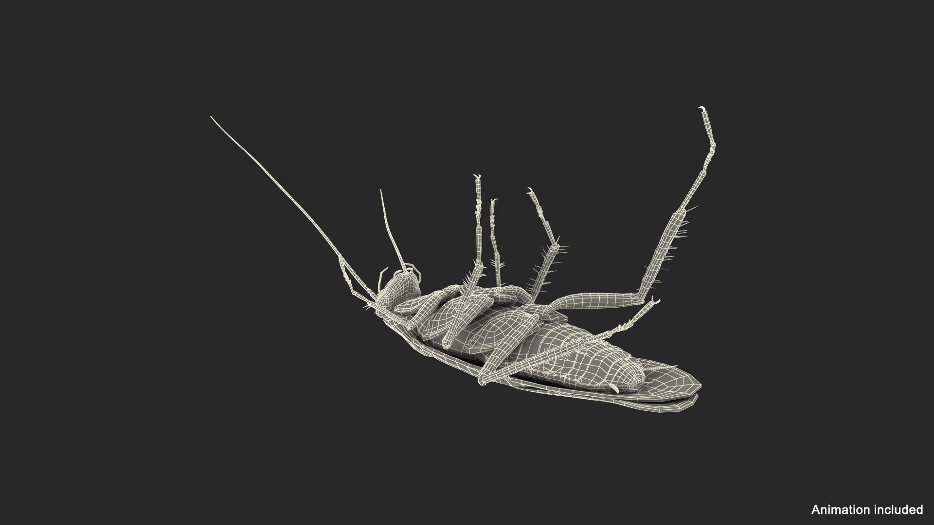 Wallpaper #SWdXCpMBSpphPi3-q9Qk194 3D Animated Cockroach Upside Down Rigged for Maya Turbosquid 2106243