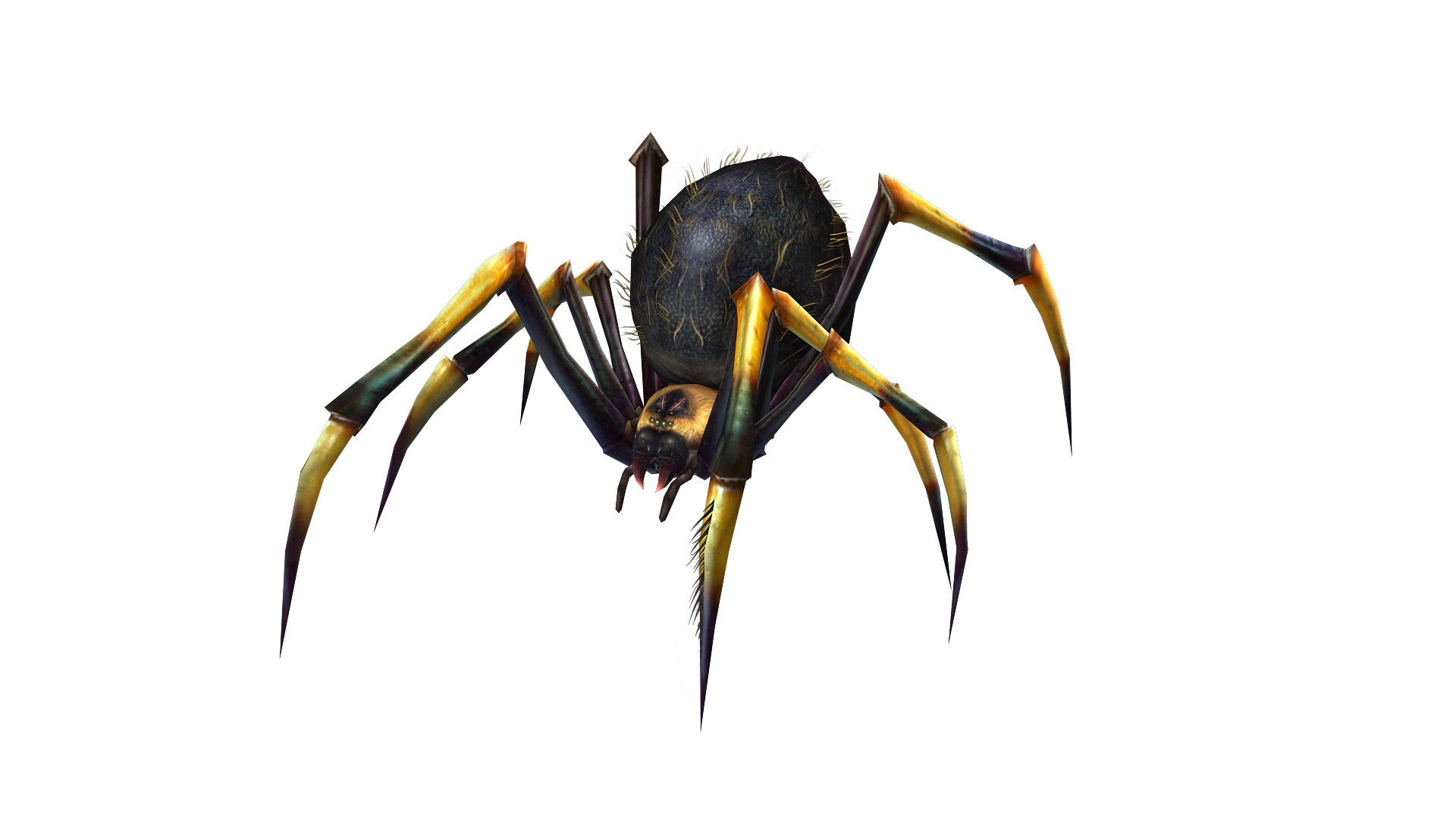 Wallpaper #R-_VS5MBMN-XEVvVKTxd54 Animated Spider 3D Model Turbosquid 2152925