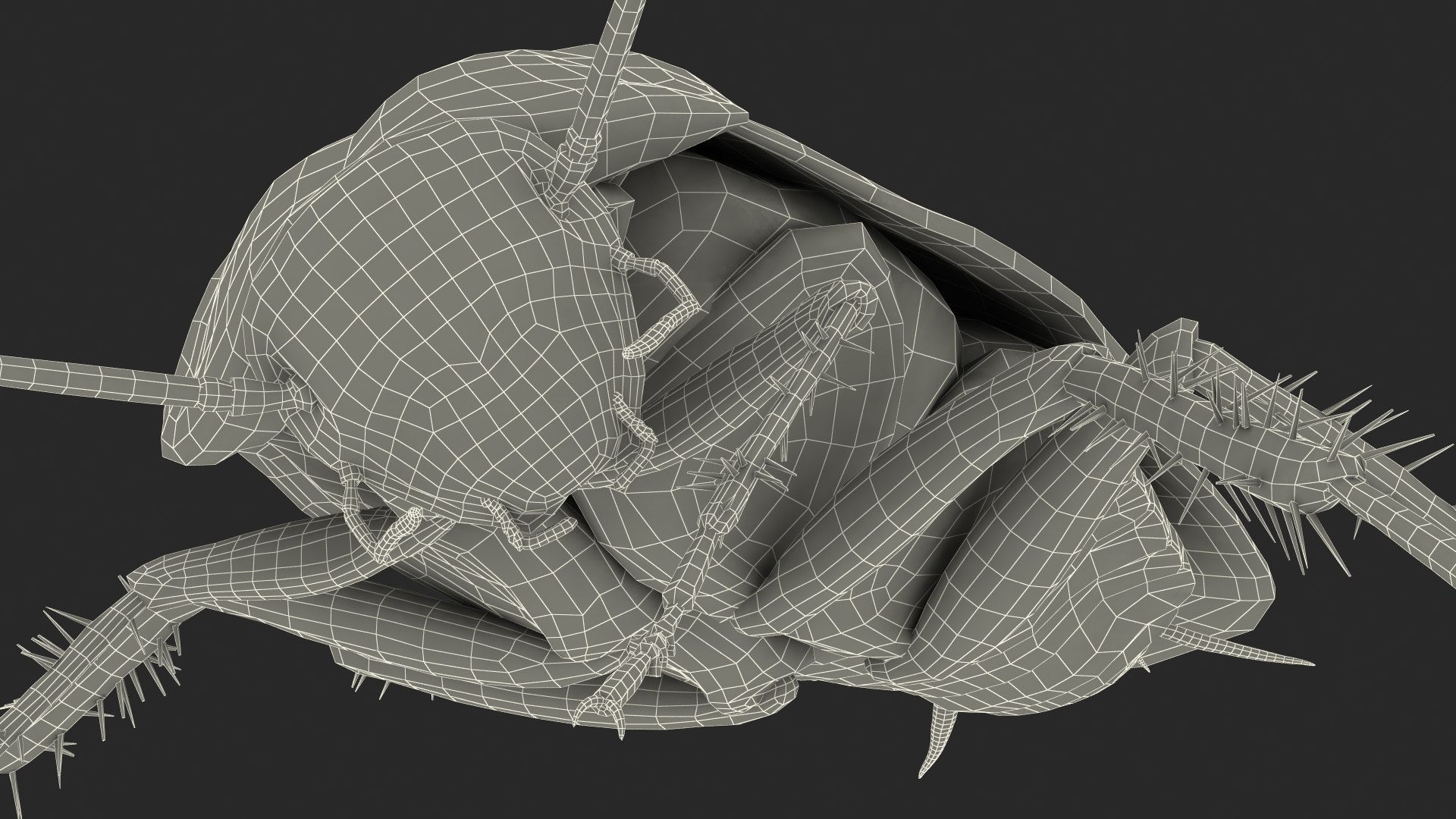 Wallpaper #SWdXCpMBSpphPi3-q9Qk250 3D Animated Cockroach Cleans Paw Rigged for Cinema 4d Model