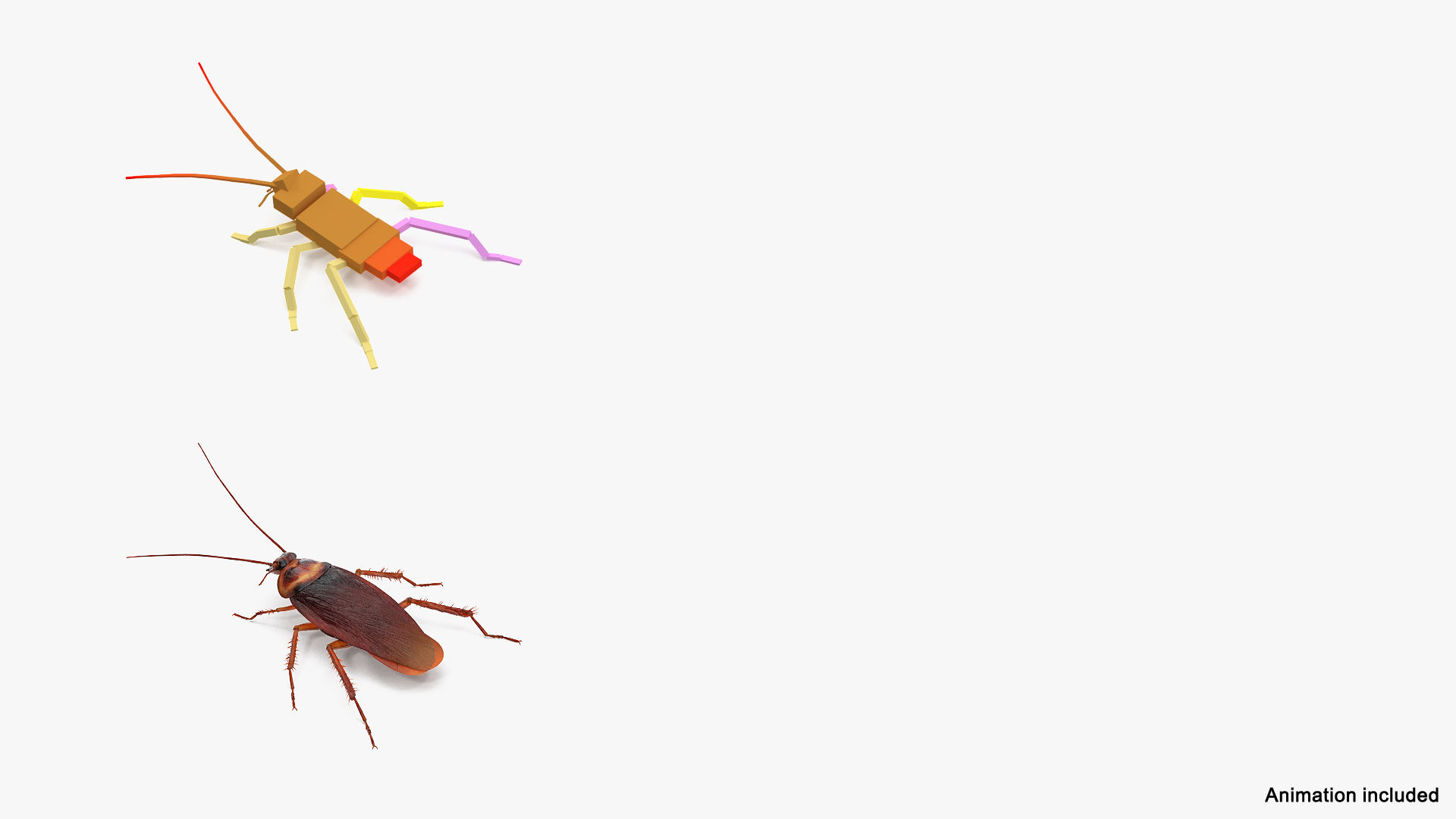 Wallpaper #SWdXCpMBSpphPi3-q9Qk188 3D Cockroach Spinning Rigged Animation Turbosquid 1486994