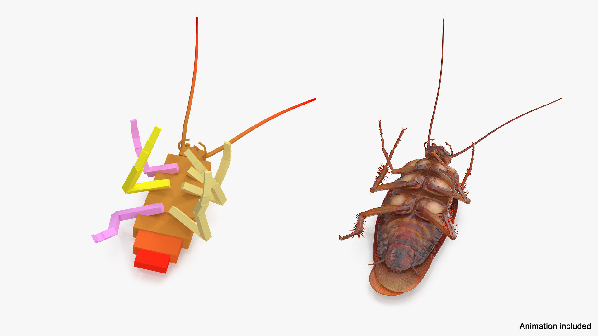 Wallpaper #SWdXCpMBSpphPi3-q9Qk123 Animated Cockroach with Bait Collection 3D Model Turbosquid 1880033