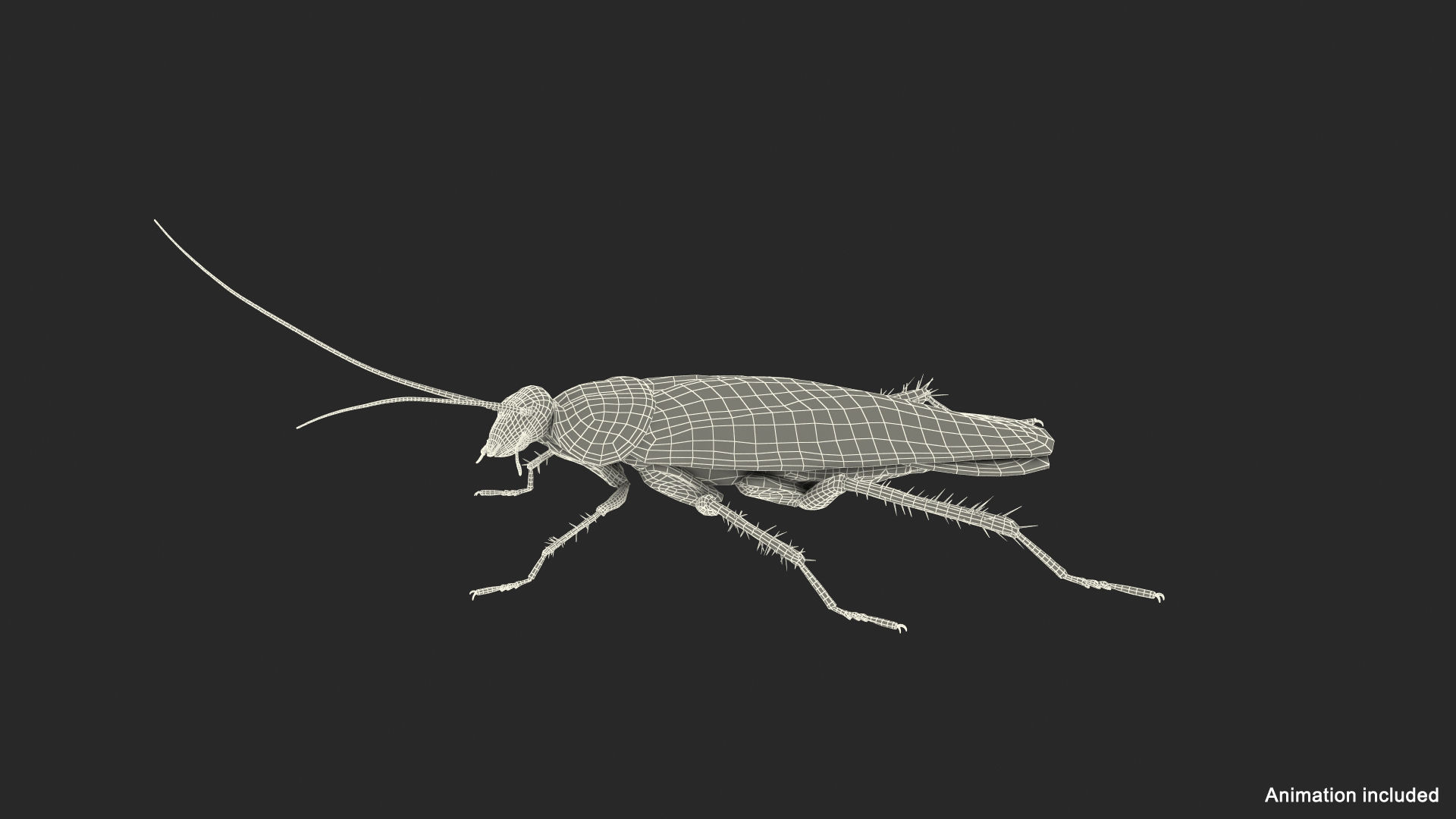 Wallpaper #SWdXCpMBSpphPi3-q9Qk173 3D Cockroach Spinning Rigged Animation Turbosquid 1486994