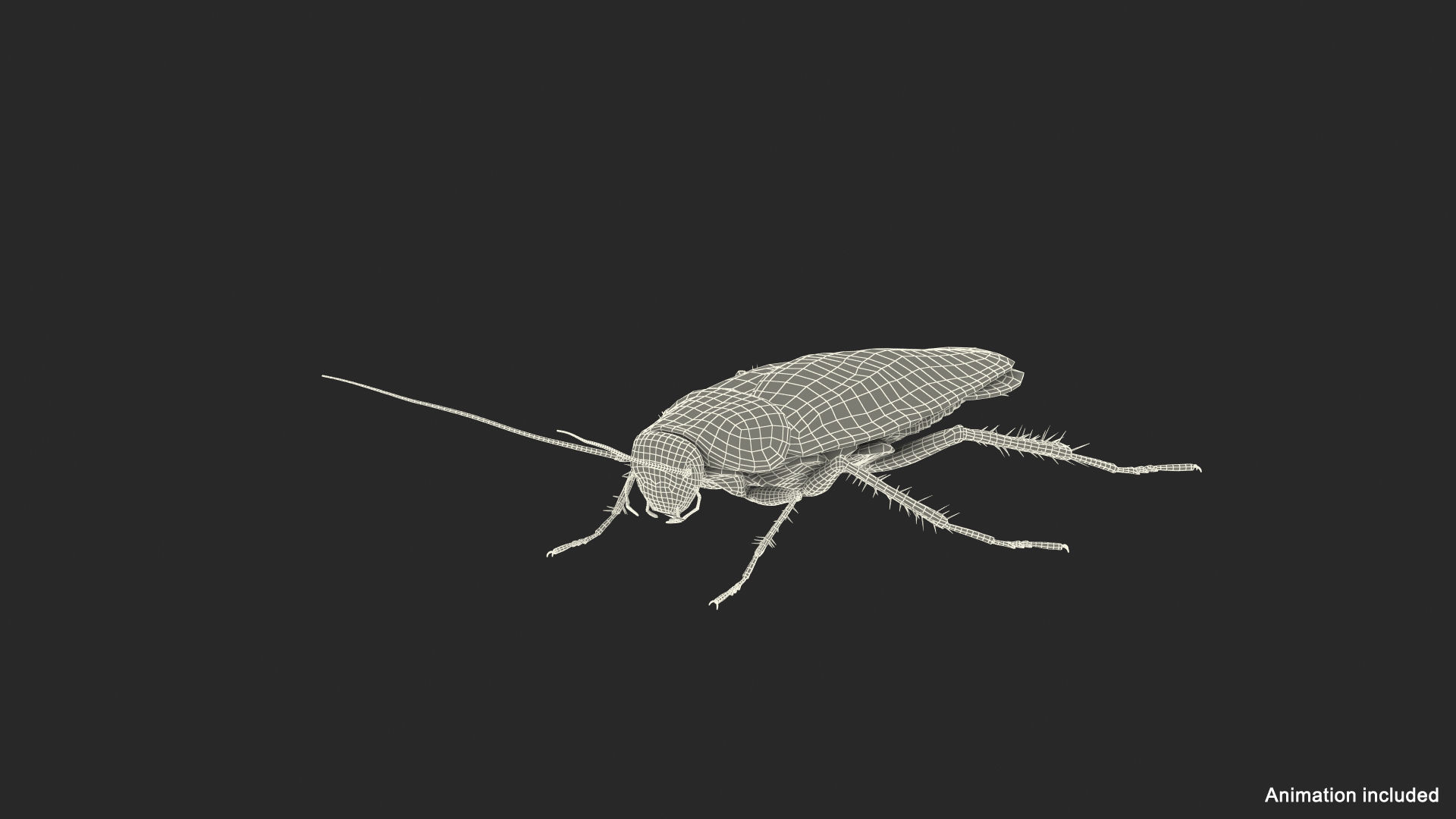 Wallpaper #SWdXCpMBSpphPi3-q9Qk89 3D Animated Cockroach Cleans Mustache Rigged for Maya Model