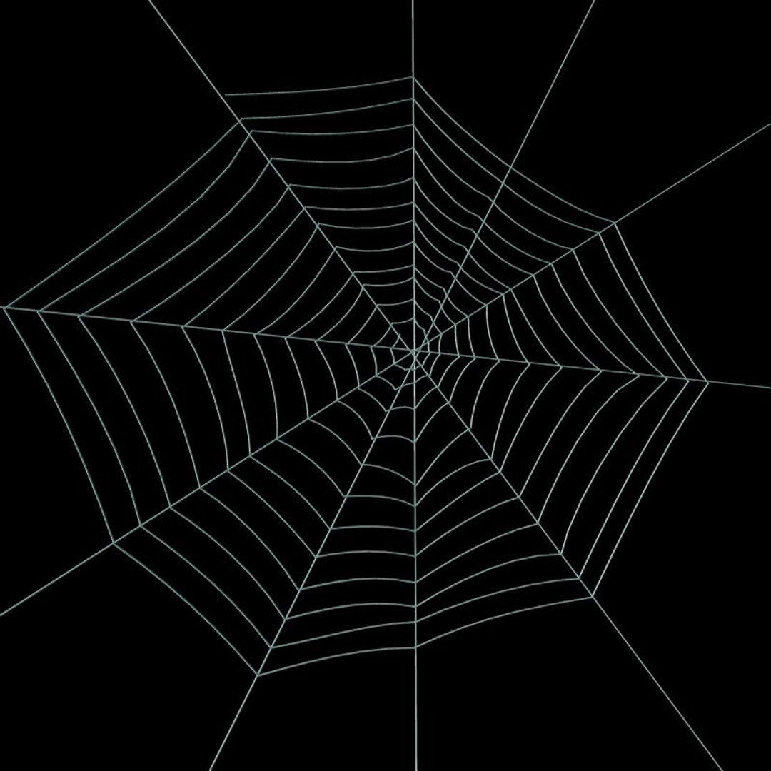 Wallpaper #xhmUEo8BtGB6xQ78j2OD24 Spider Web 3D Model