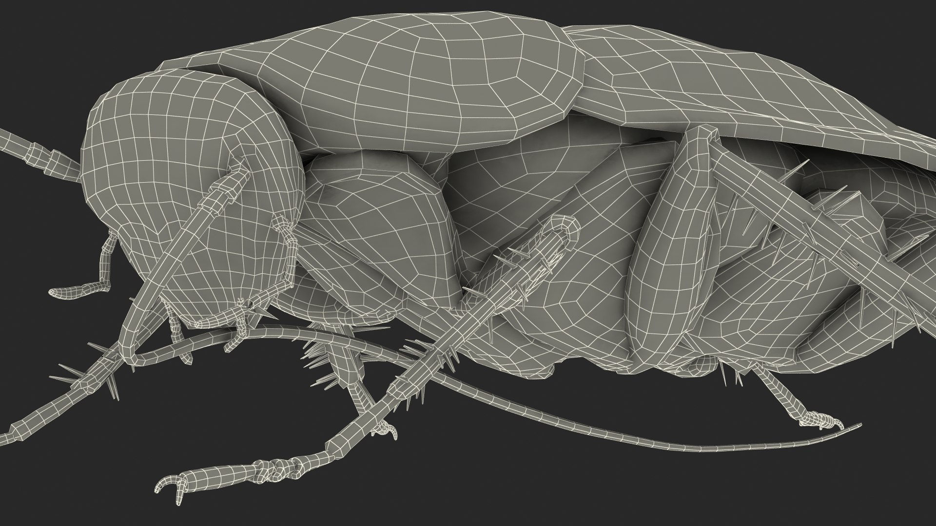 Wallpaper #SWdXCpMBSpphPi3-q9Qk268 3D Animated Cockroach Cleans Mustache Rigged for Cinema 4d Turbosquid