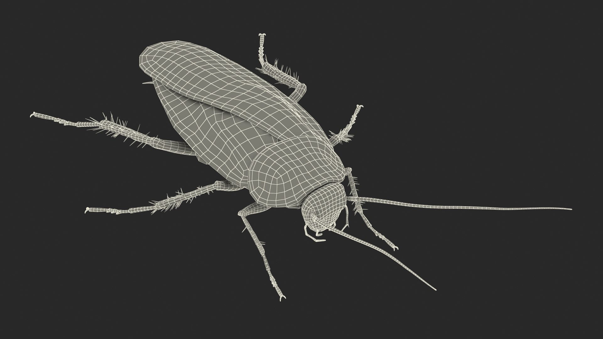 Wallpaper #SWdXCpMBSpphPi3-q9Qk140 3D Animated Cockroach Cleans Mustache Rigged for Cinema 4d Turbosquid