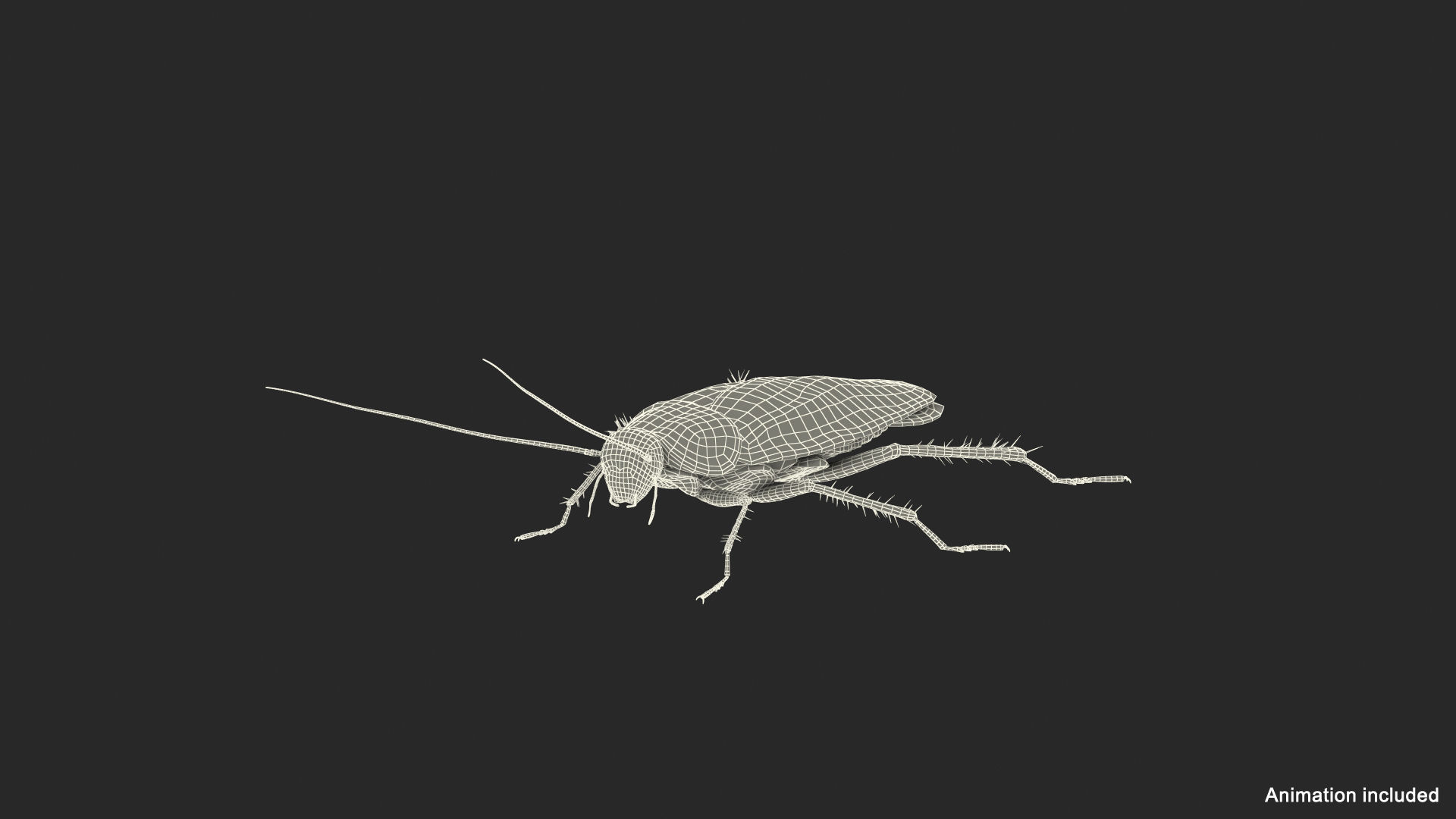 Wallpaper #SWdXCpMBSpphPi3-q9Qk76 Animated Cockroach Running Rigged for Cinema 4d 3D Model Turbosquid