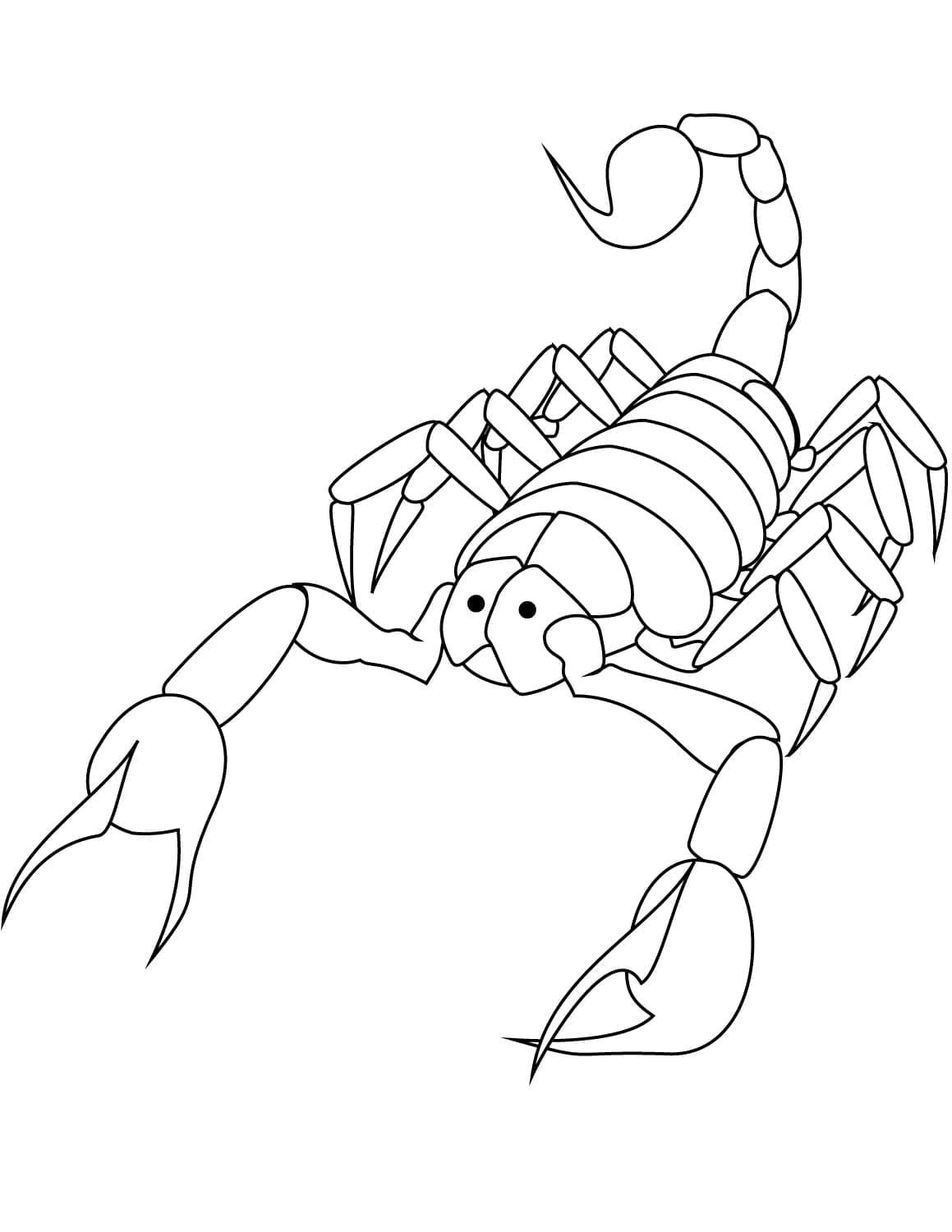 Wallpaper #YPQzOZMBKFX8bn3rnnbQ137 Coloriage Scorpion a Imprimer Et Dessin