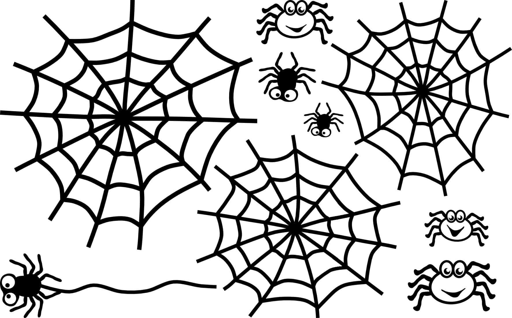 Wallpaper #sQMhZJMBpyOg8YnEWNZf22 Spider Web Free Printable Coloring Page Download Print or Color