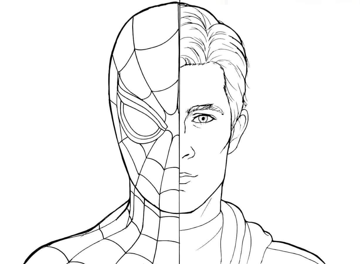 Wallpaper #ZDGcNZMB5zzyi_yYEldF358 Peter Parker Coloring Pages Coloringlib