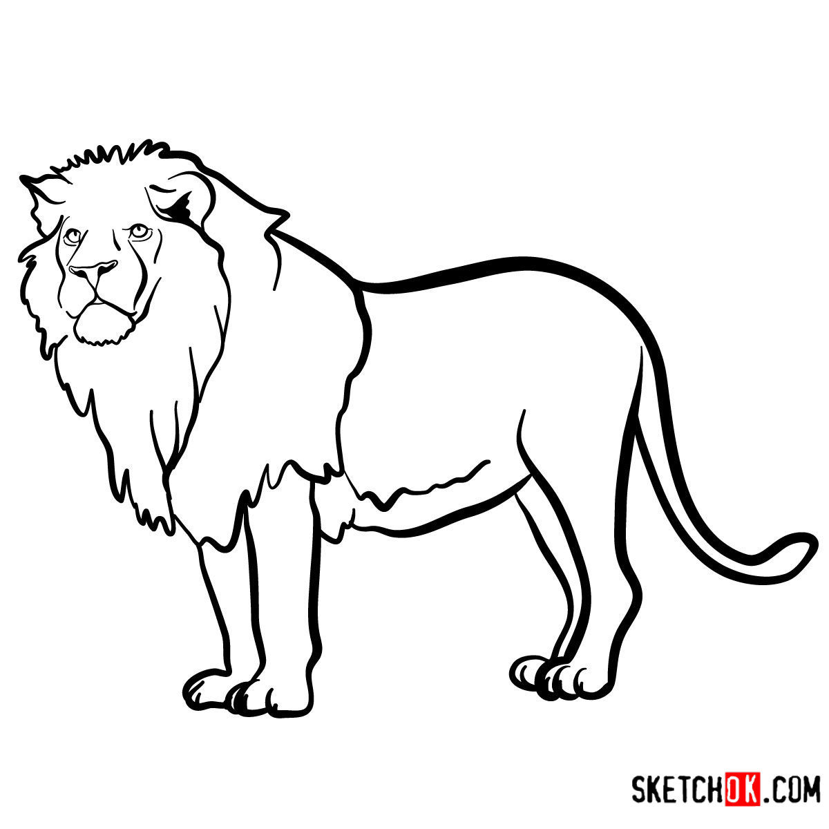 Wallpaper #sZy14pIBZHQxiYarjMHJ145 How to Draw a Lion Standing Wild Animals Sketchok Easy Drawing Guides