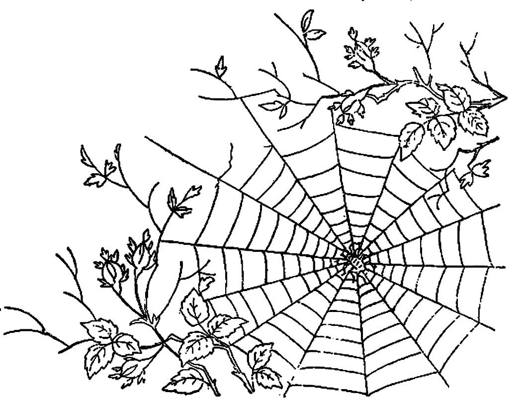 Wallpaper #sQMhZJMBpyOg8YnEWNZf179 Coloring Pages Halloween Spiders Halloween Spider Coloring Page