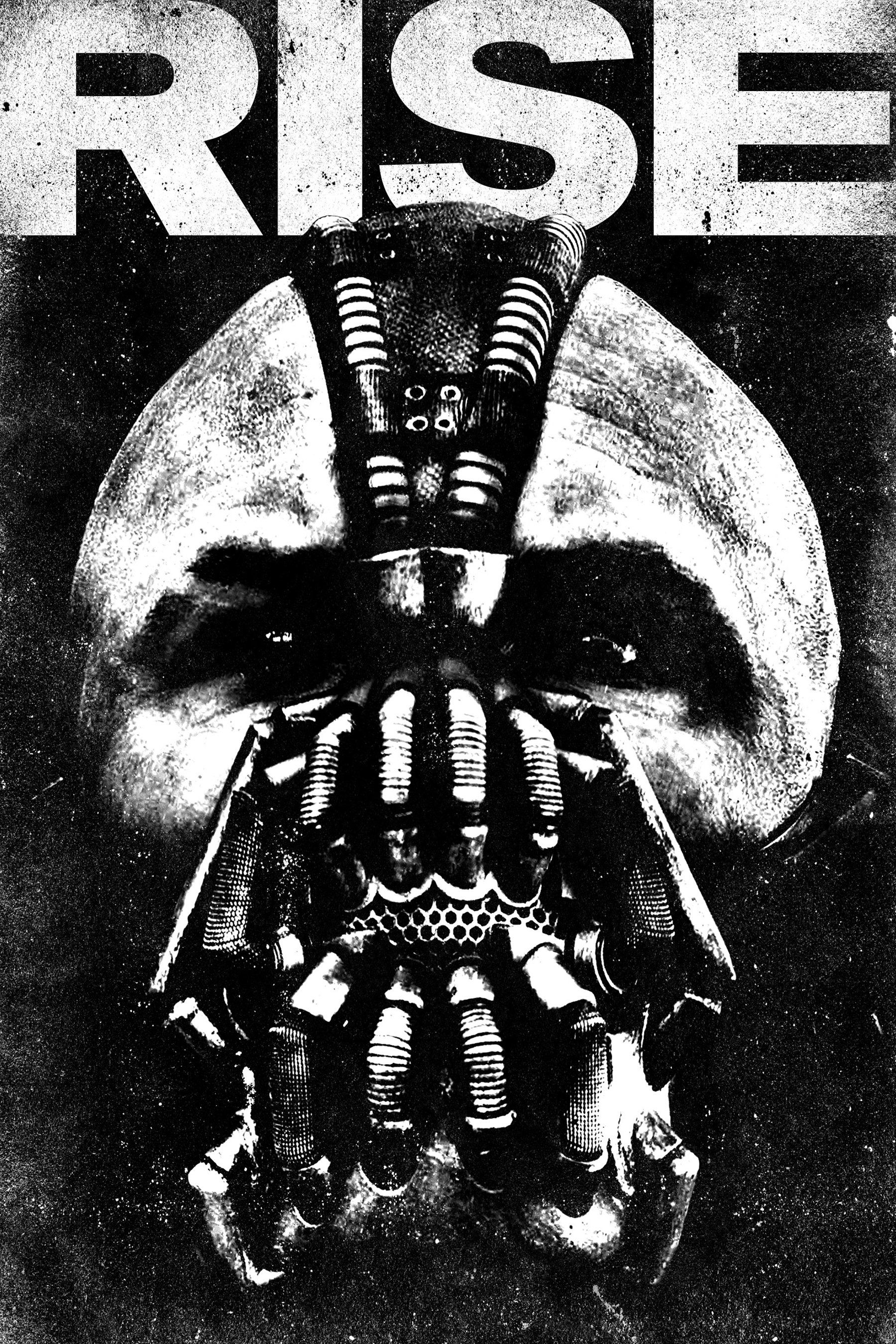 Wallpaper #d523b Image the Dark Knight Rises Dvd Coverjpg Batman Wiki