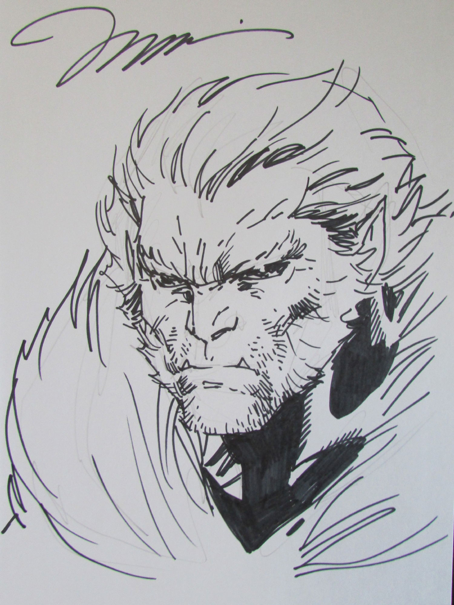 Wallpaper #ARn8H48BtGB6xQ78YX351 Jim Lee Sabretooth in Michael Benhams Sabretooth Comic Art Gallery Room