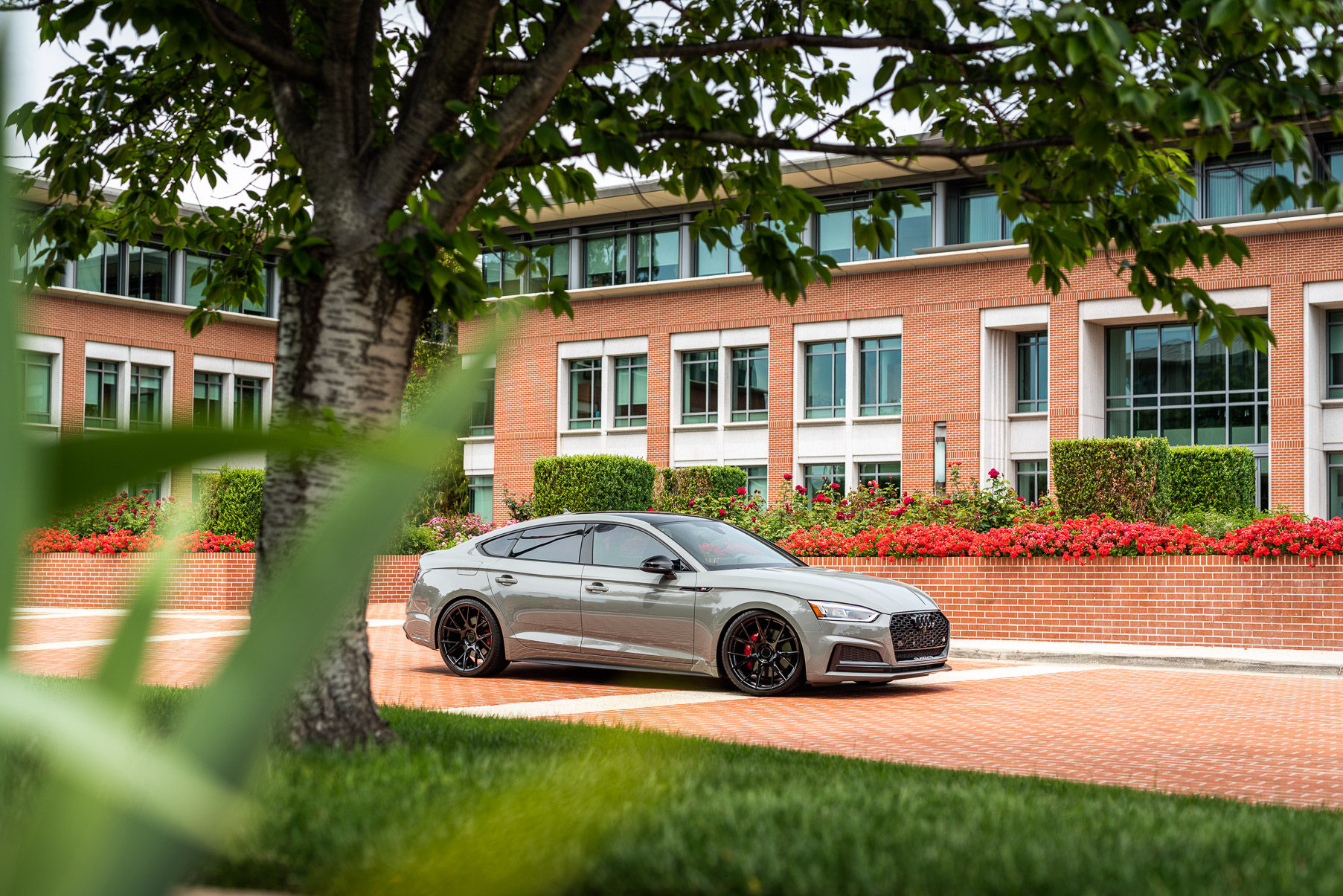 Wallpaper #2Gj8HZMBSpphPi3-XCee347 2018 Audi S5 Nardo Bd F18 Gloss Black Wheels