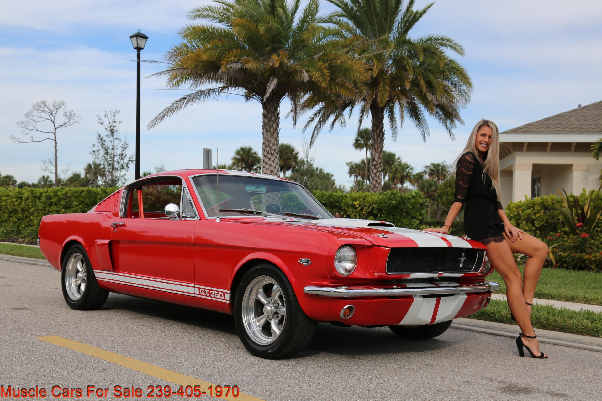 Wallpaper #60YXVZcBqAgmjOk2gV2U246 For Sale Mustang Fastback at Sebastian Williams Blog