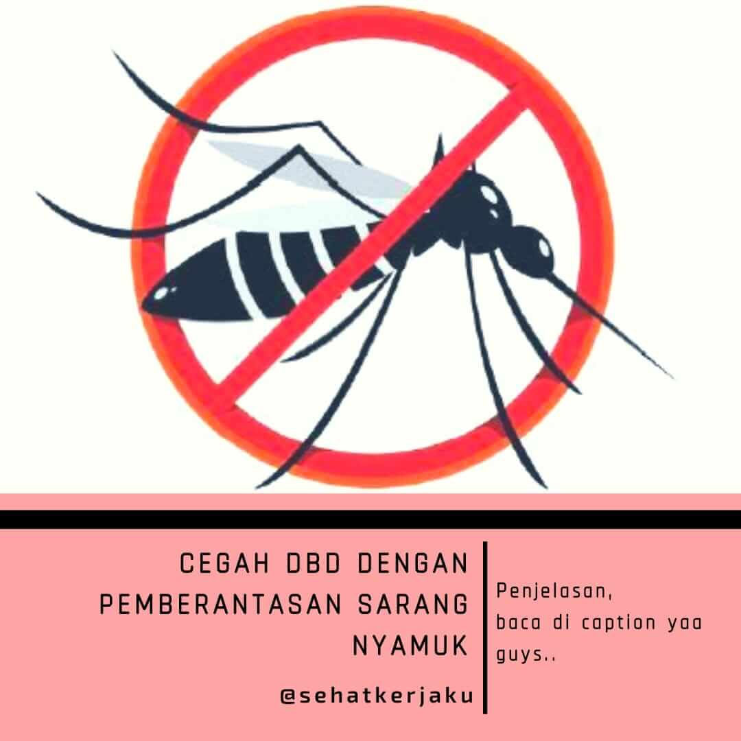 Wallpaper #jmeL65IBSpphPi3-PEx0243 Cegah Dbd Dengan Pembrantasan Sarang Nyamuk