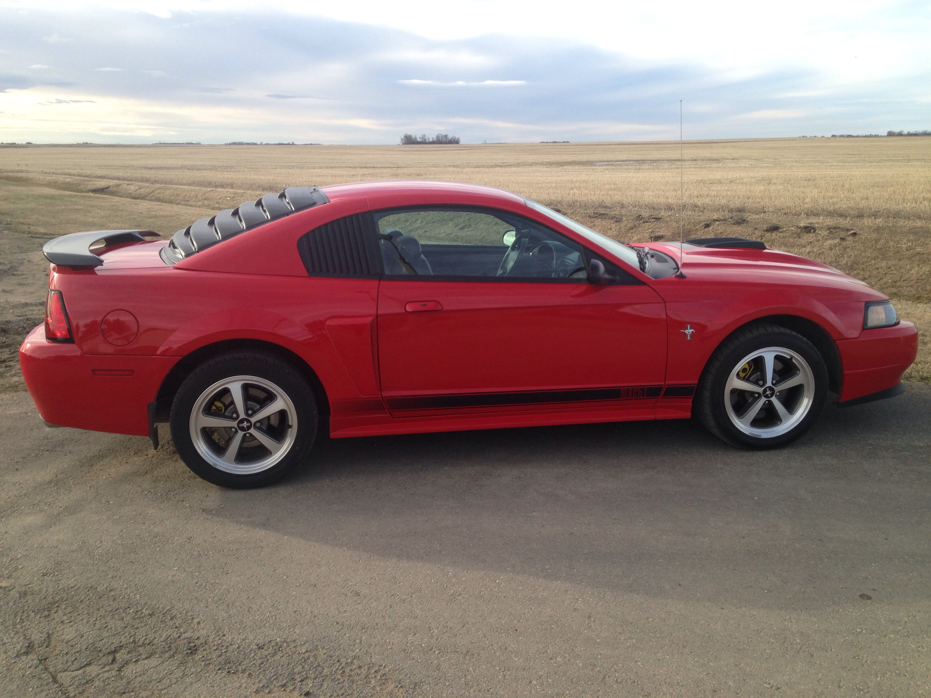 Wallpaper #X2hEJJMBSpphPi3-0zjQ21 2003 Torch Red Mach 1 for Sale Canadian Mustang Owners Club Ford