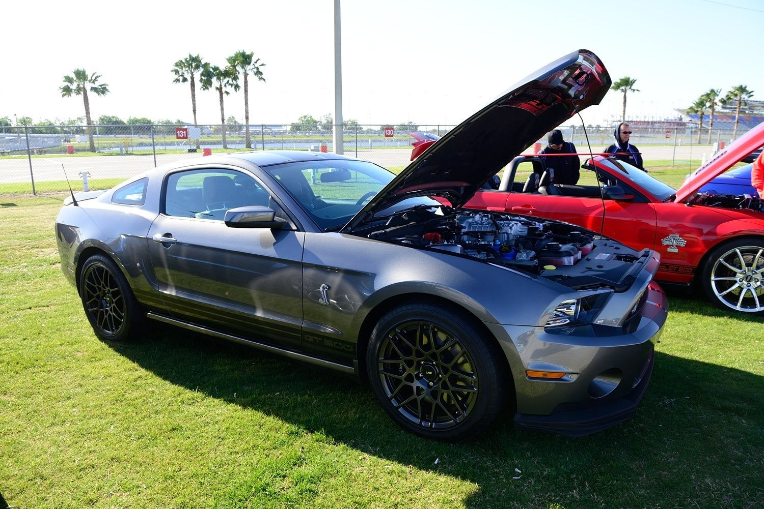 Wallpaper #H0CLMZMBJhL2WPba8Me7113 Those Corvettes Stangs and Camaros Are Kicking Old Reds Heiene