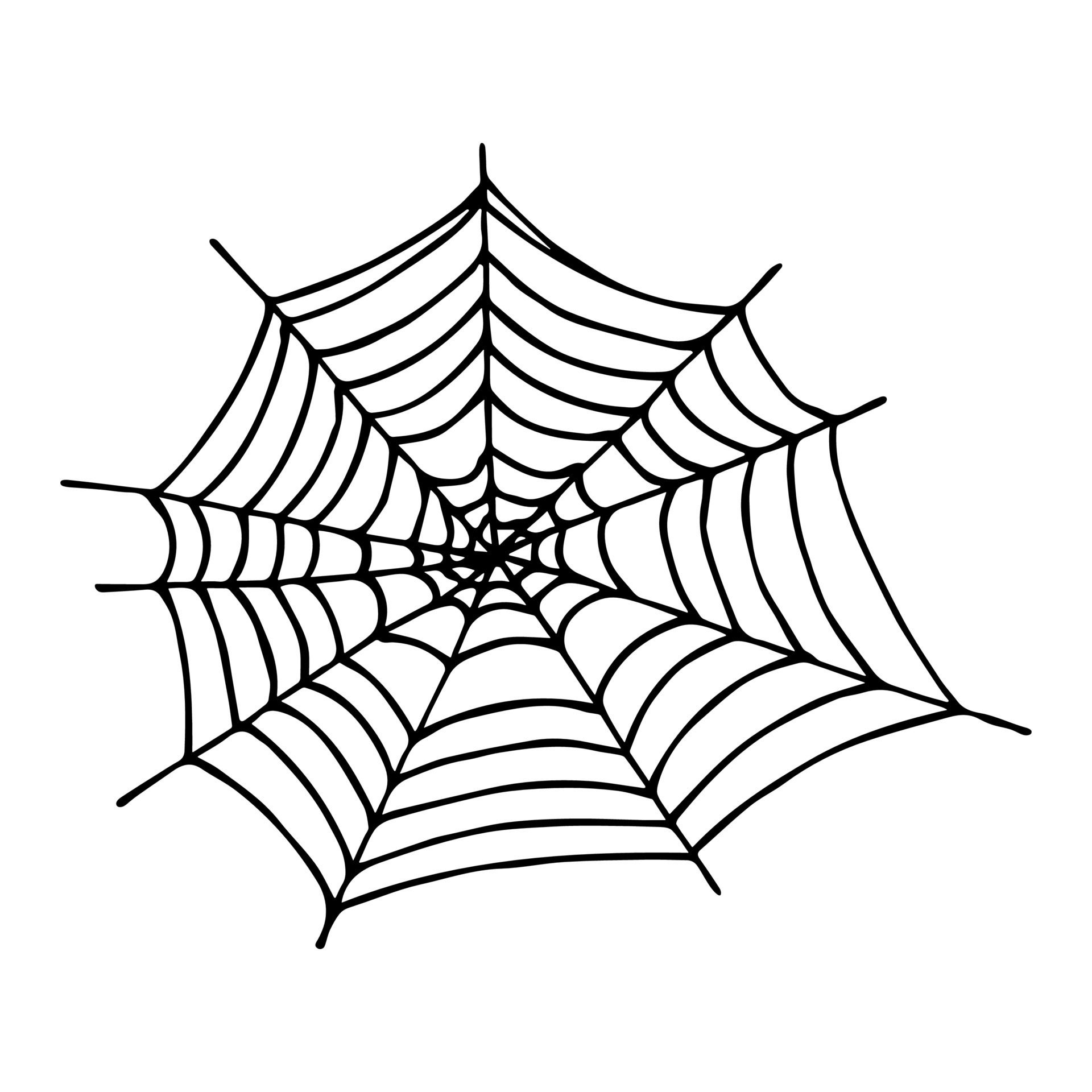 Wallpaper #cGgHF5MBSpphPi3-TQ0z214 Simple Hand Drawn Spider Web Illustration Cute Gossamer Clipart