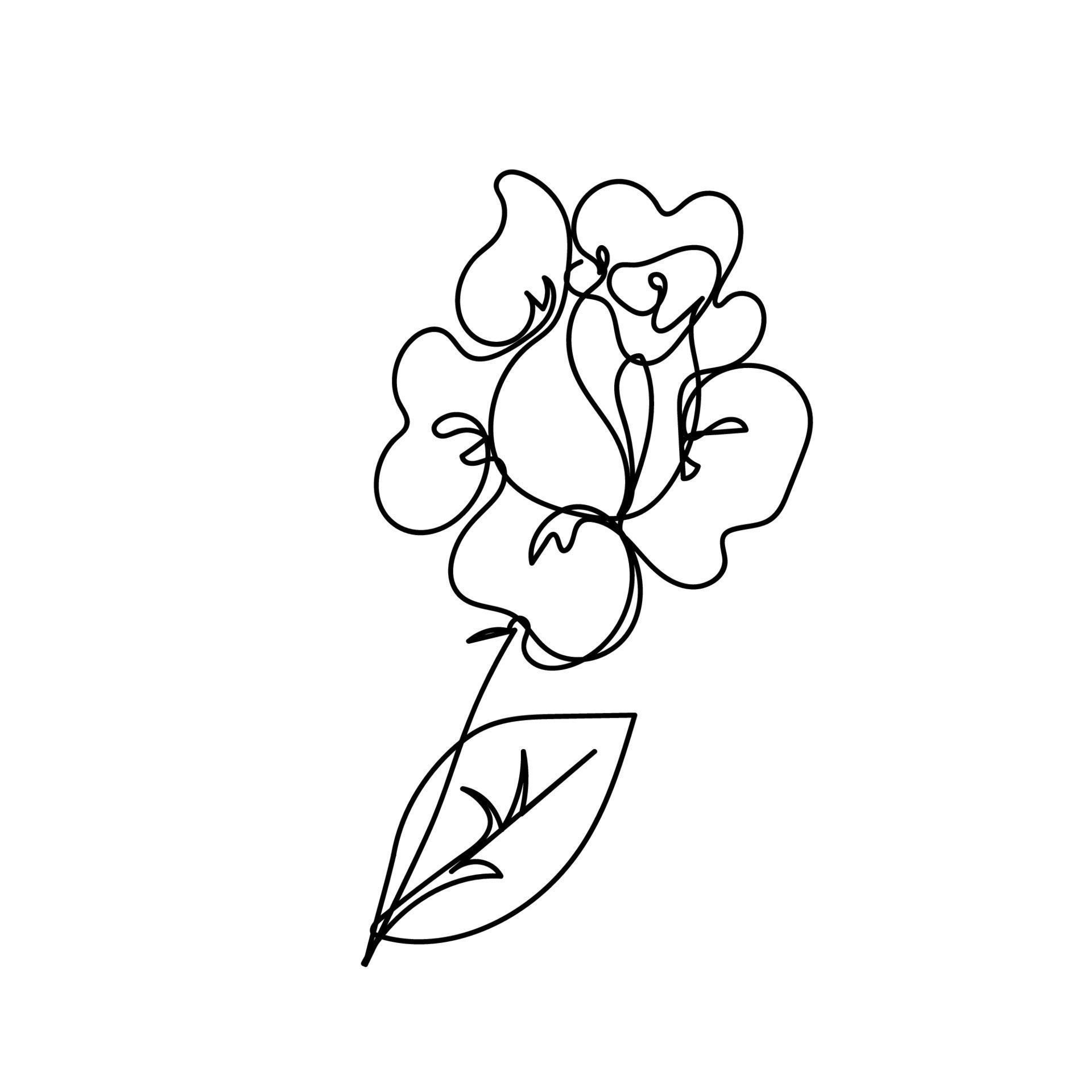 Wallpaper #92gMIpMBSpphPi3-LzF9152 Rose Continuous Line Flowers Garden Outline Sketch Style Vector