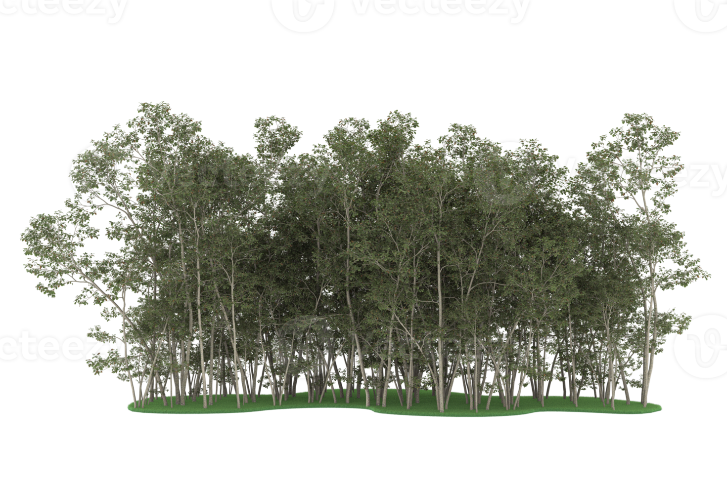 Wallpaper #lGcDC5MBSpphPi3-T9ct295 Realistic Forest Isolated on Transparent Background 3D Rendering