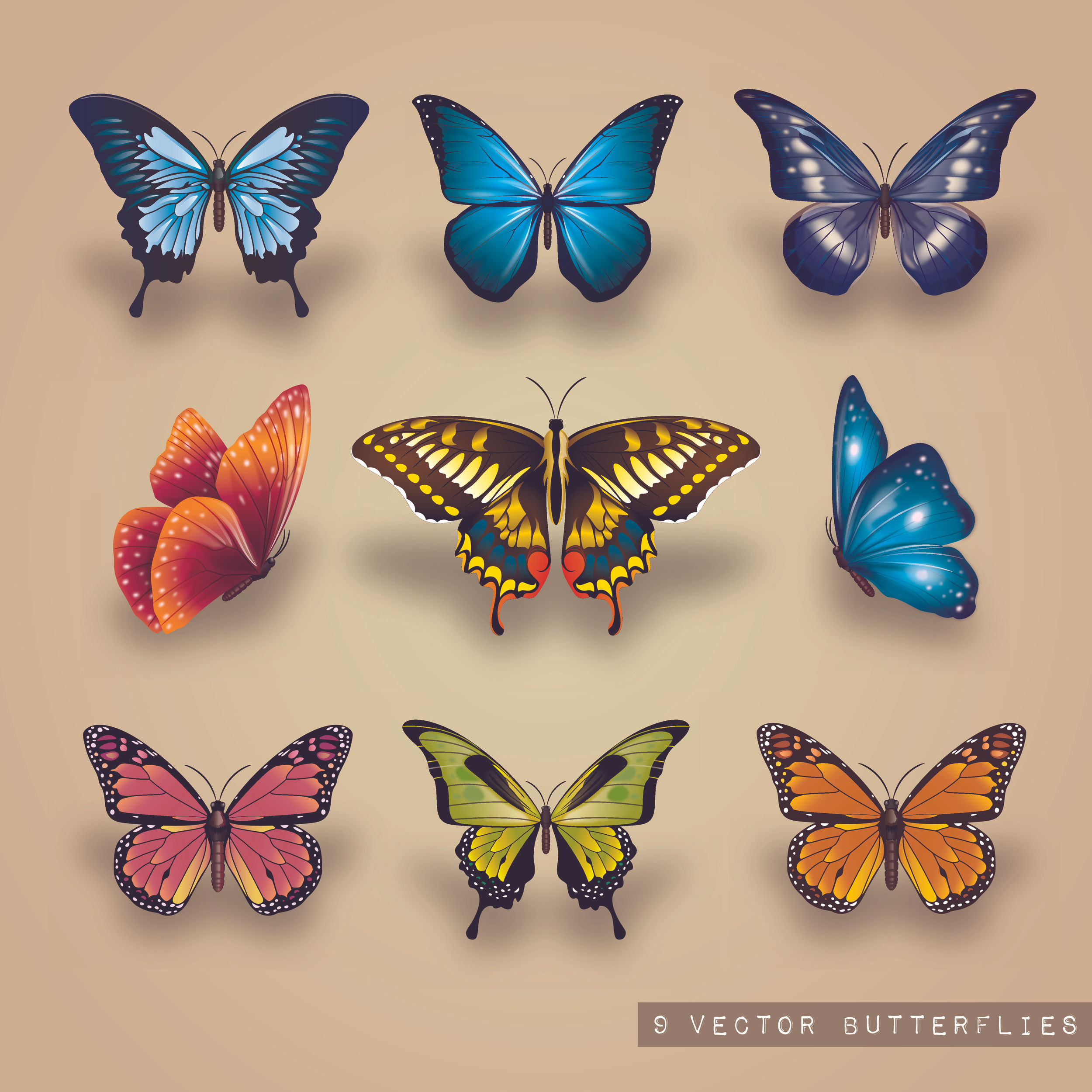 Wallpaper #eJyi4ZIBZHQxiYar67ym0 Butterfly Set Vector Art Icons and Graphics for Free Download