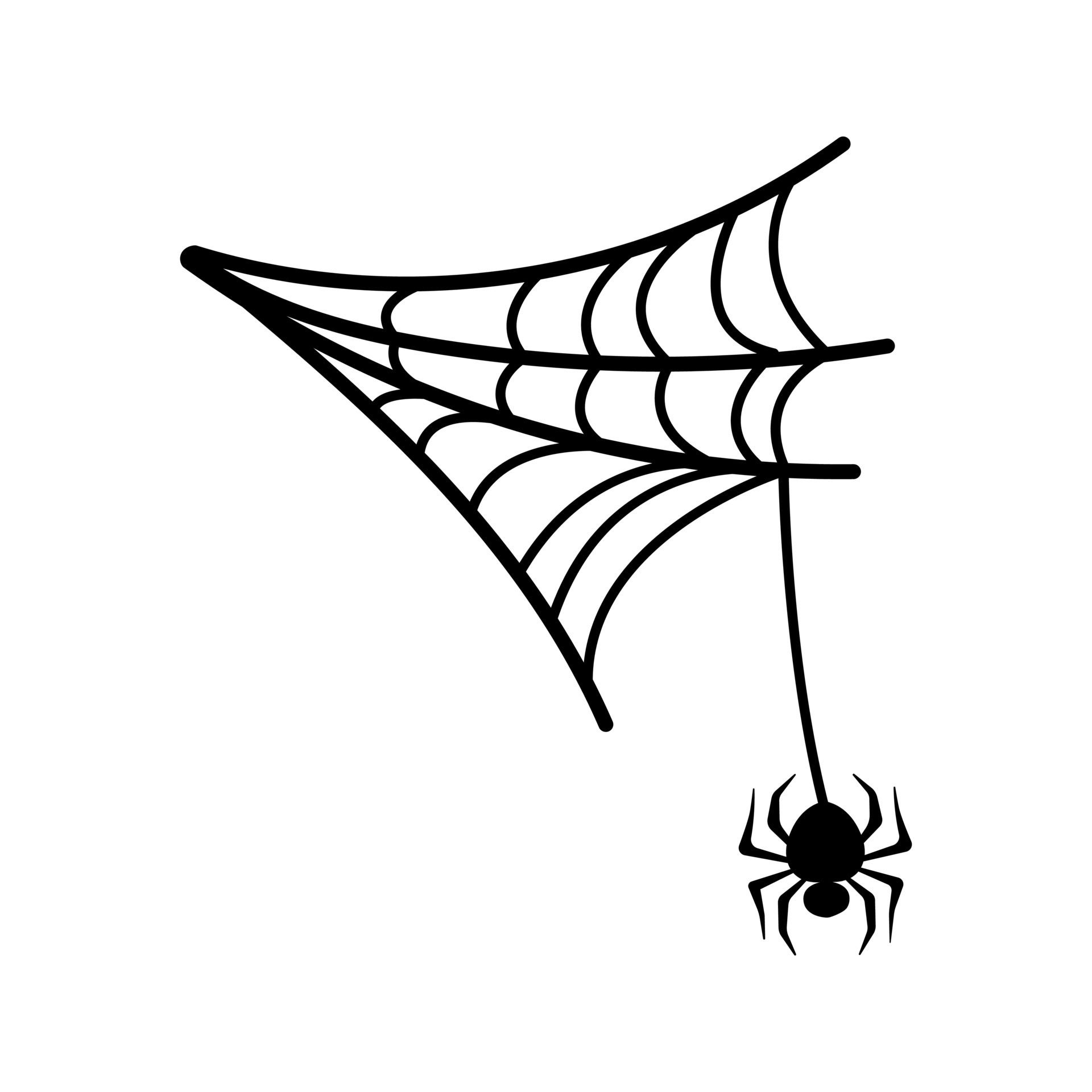 Wallpaper #52dP85IBSpphPi3-BnRA306 Spider Icon Vector Halloween Illustration Sign Web Symbol Cobweb Logo
