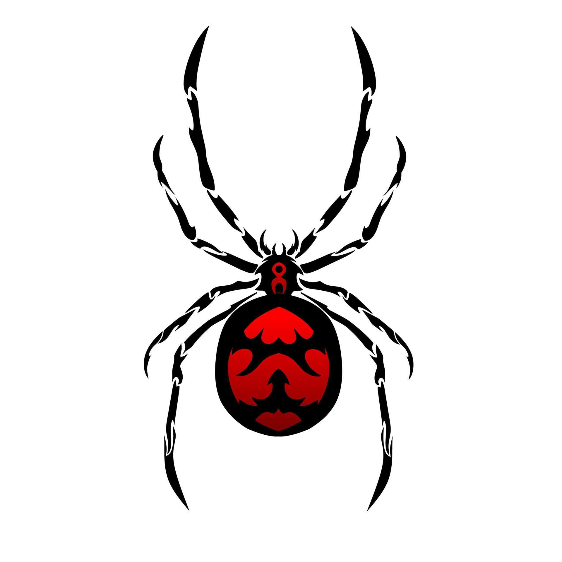 Wallpaper #k_RZOpMBKFX8bn3rE3j0145 Illustration Vector Graphic of Tribal Clip Art Tattoo Spider Red Color