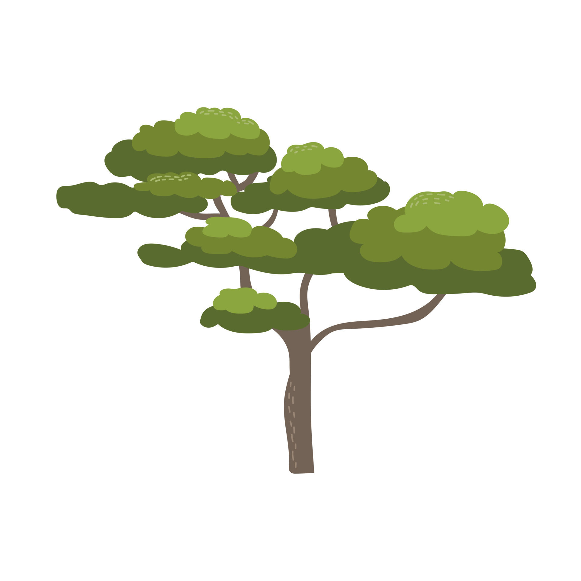Wallpaper #9mdFCpMBSpphPi3-NNO0566 African Acacia Tree with Wide Crown Flat Cartoon Style Vector