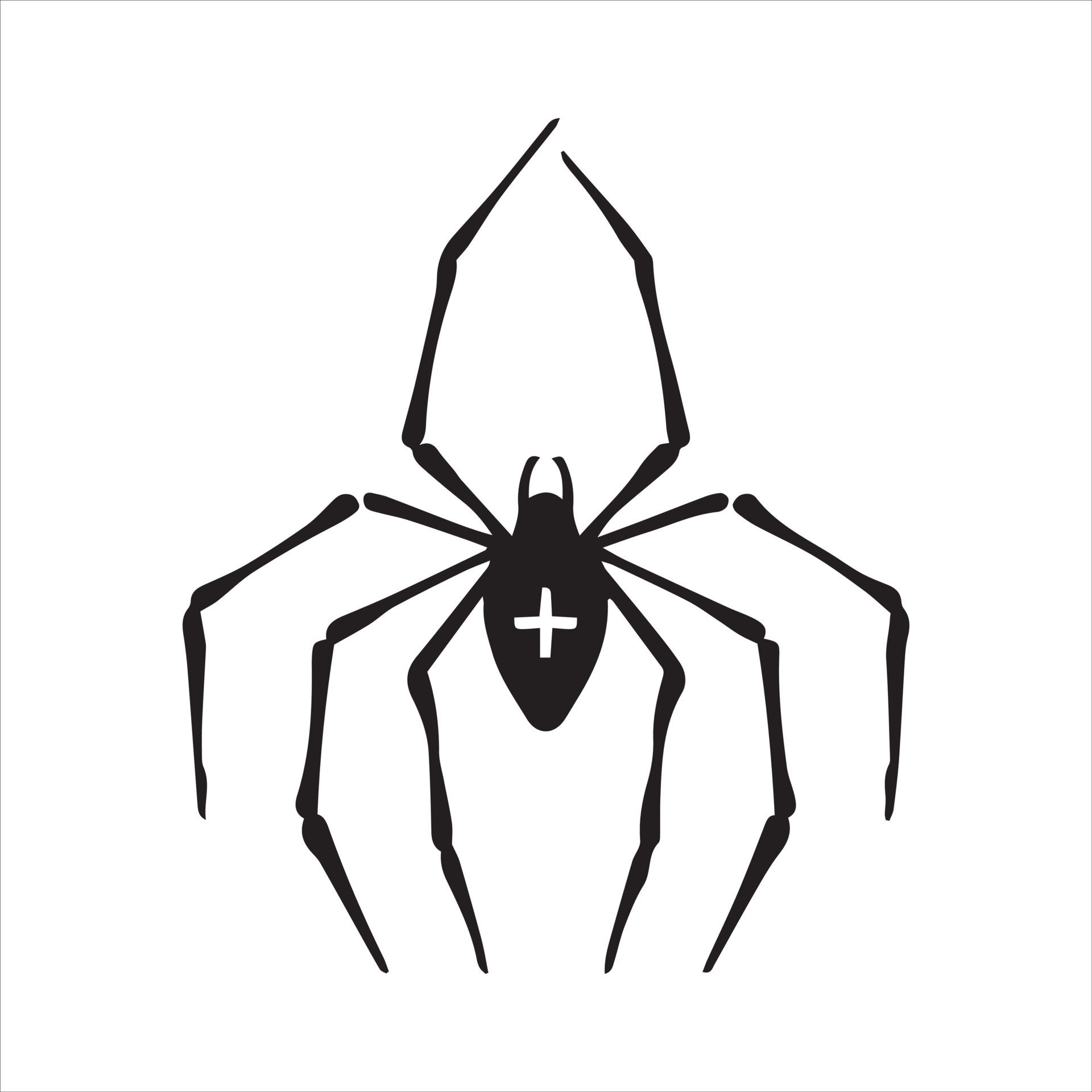 Wallpaper #MPSwOZMBKFX8bn3r33ez267 Simple Line Drawing Vector Illustration Spider Black and White