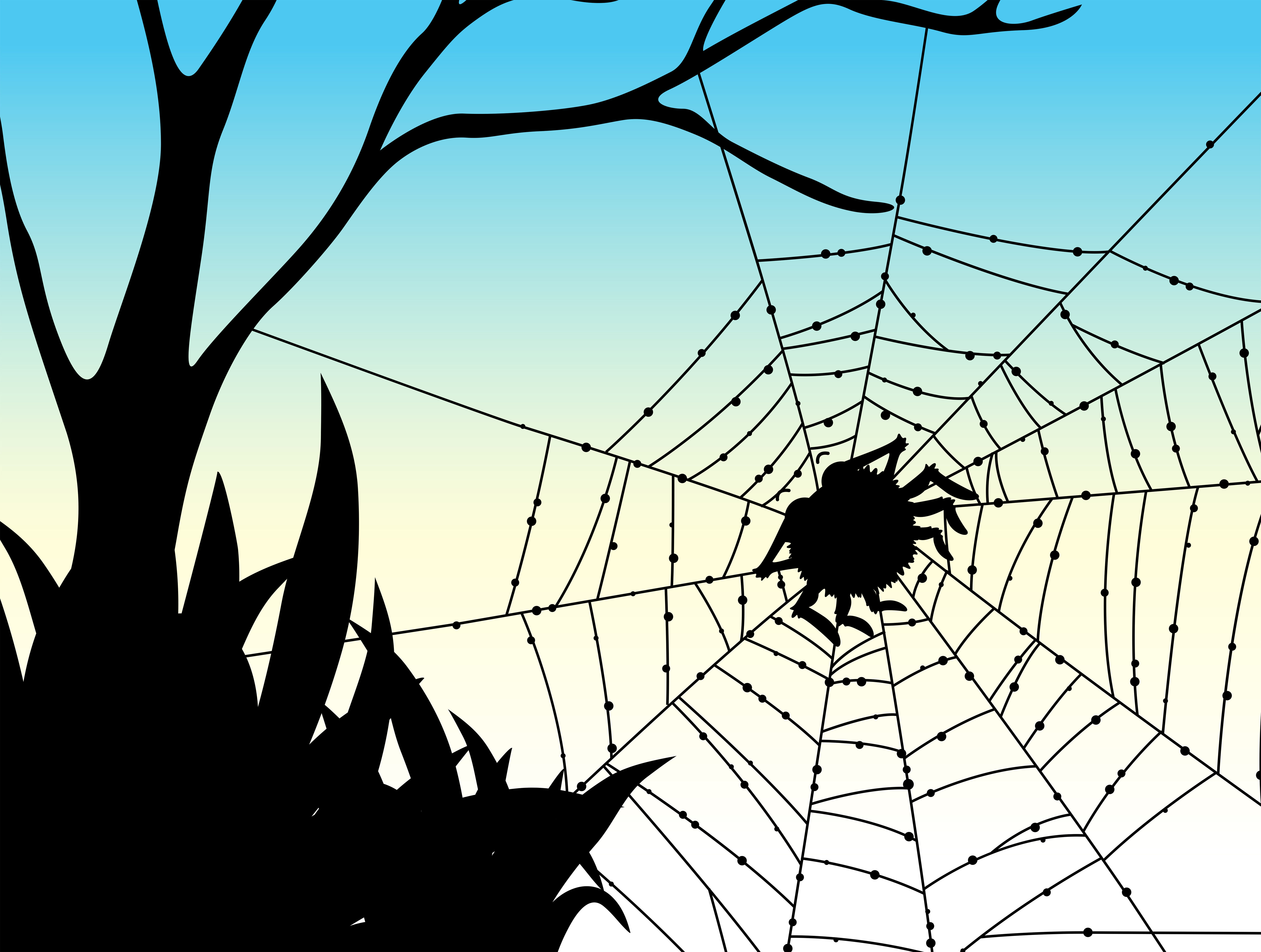 Wallpaper #71bf1 Pin by Kayleigh on Spider Drawings in 2024 Spiderman Drawing