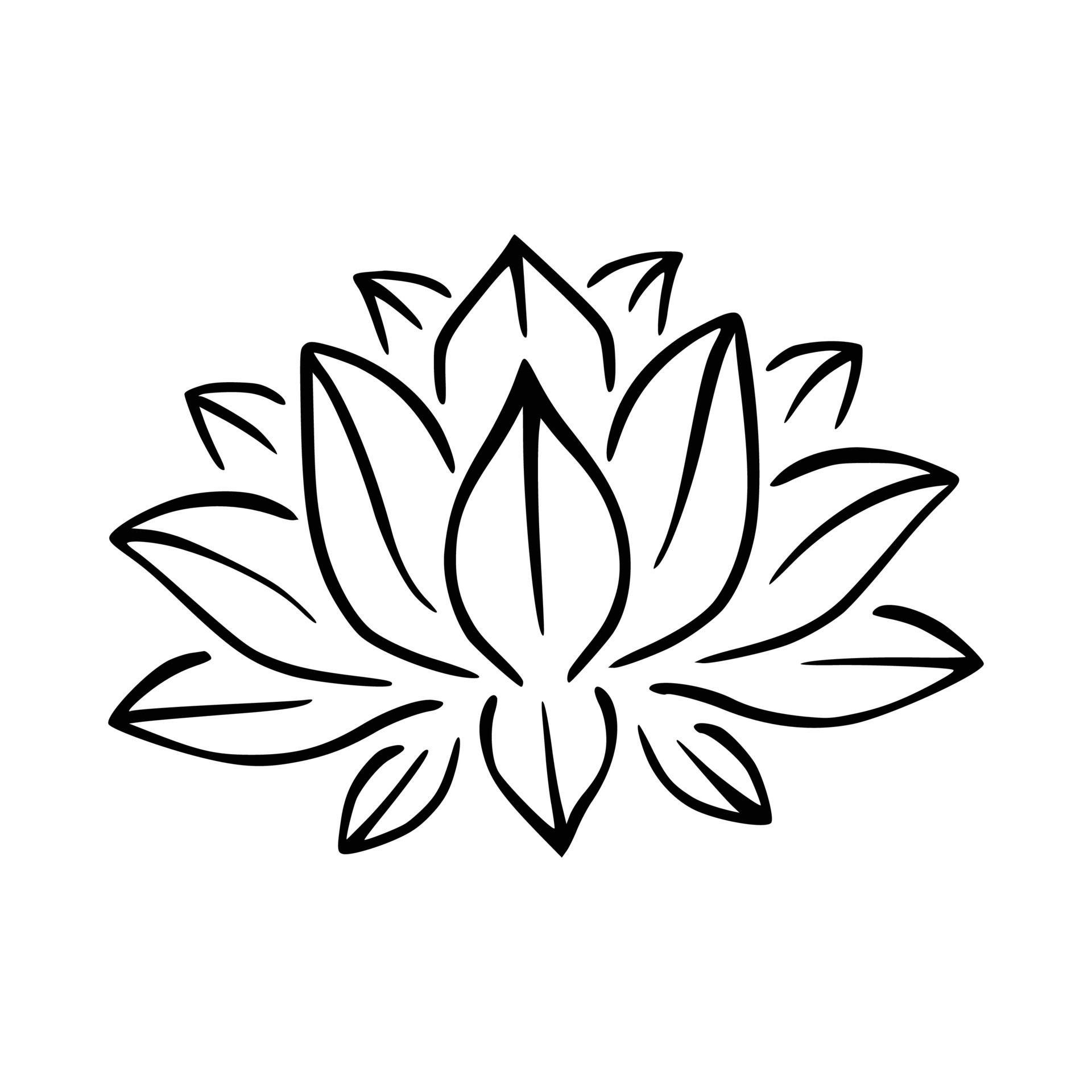 Wallpaper #PmfIC5MBSpphPi3-L9tC224 Simple Lotus Flower Line Drawing Outline Isolated in White Background