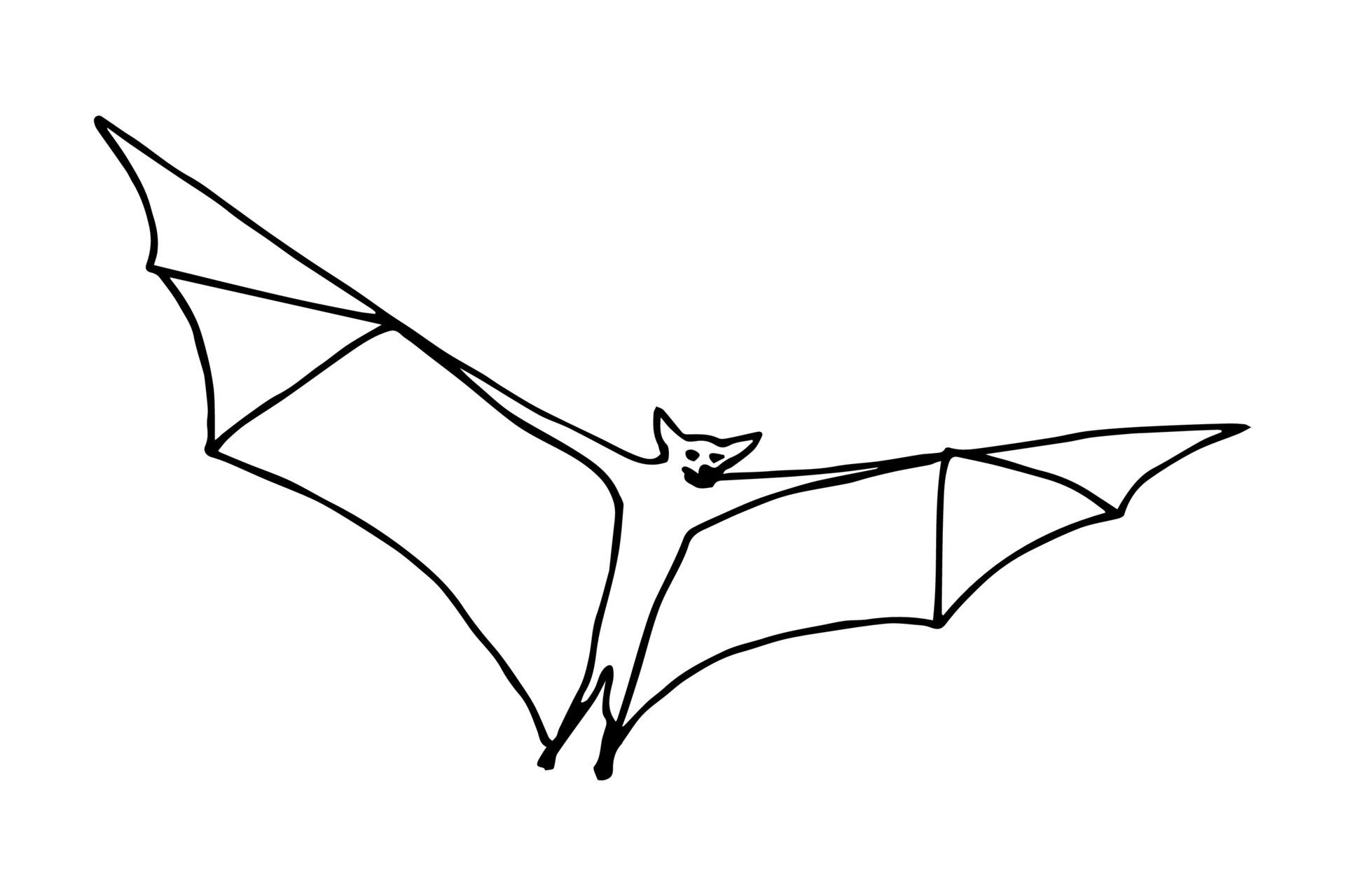 Wallpaper #R4uWdZcBcm9NJah-D3fD198 Simple Bat Drawing