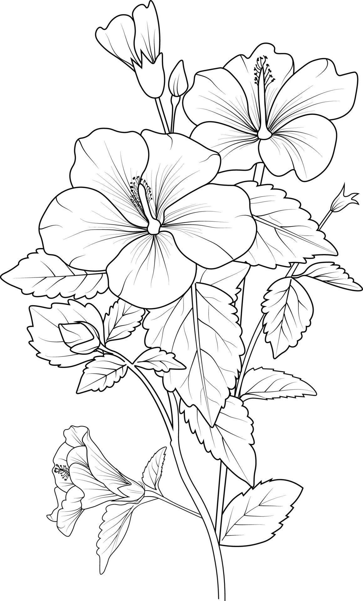 Wallpaper #8a759 Printable Downloadable Free Cricut Paper Flower Template