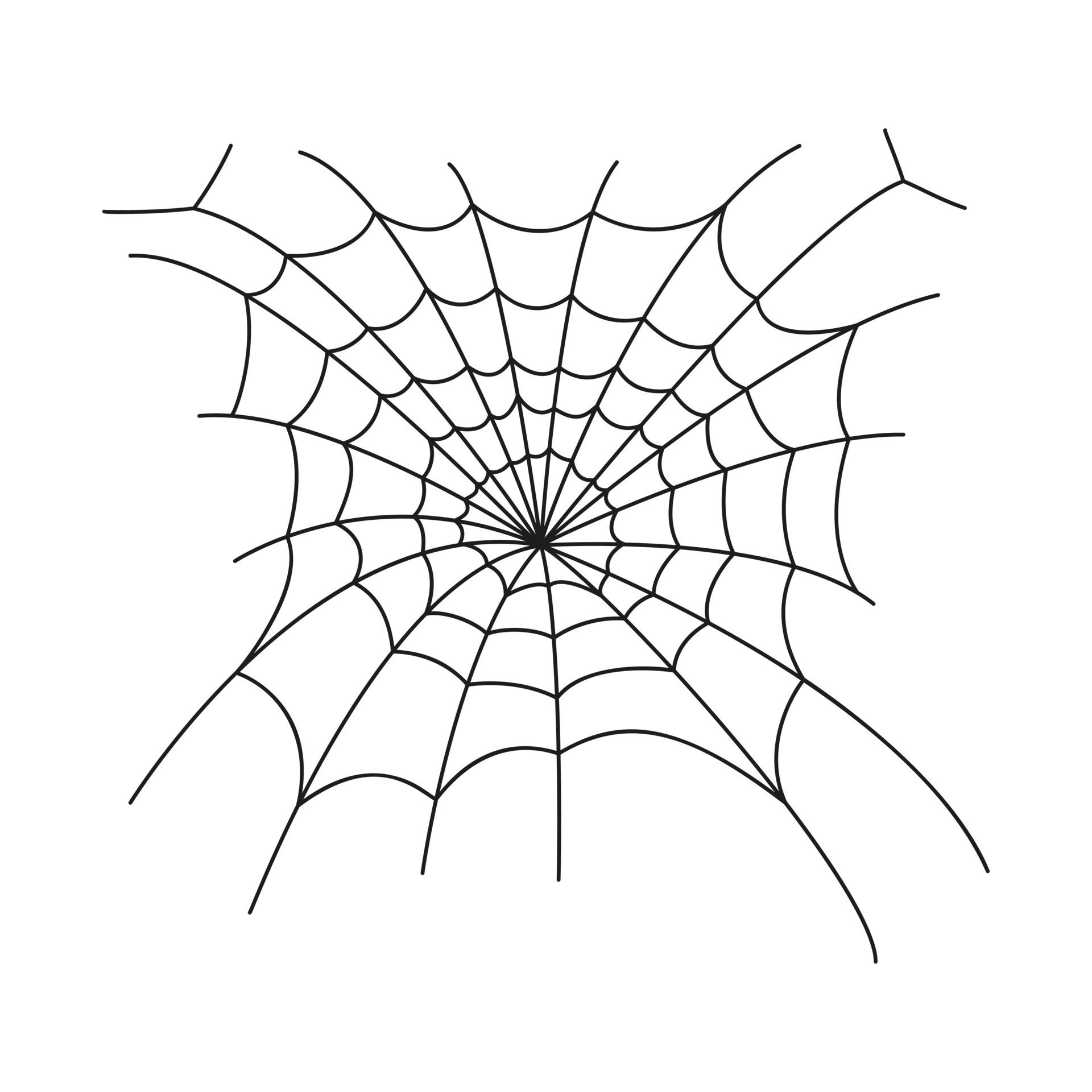 Wallpaper #52dP85IBSpphPi3-BnRA293 Tangled Cobweb in Linear Style Spider Web Icon Isolated on White