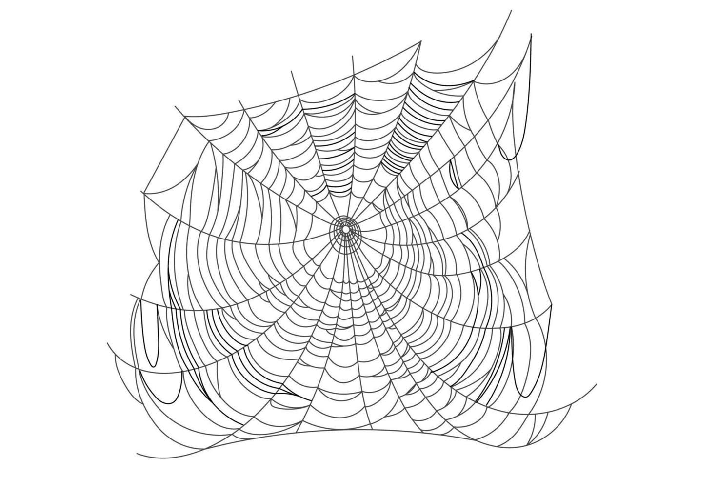 Wallpaper #52dP85IBSpphPi3-BnRA33 Spider Web Parts 12649635 Vector Art at Vecteezy