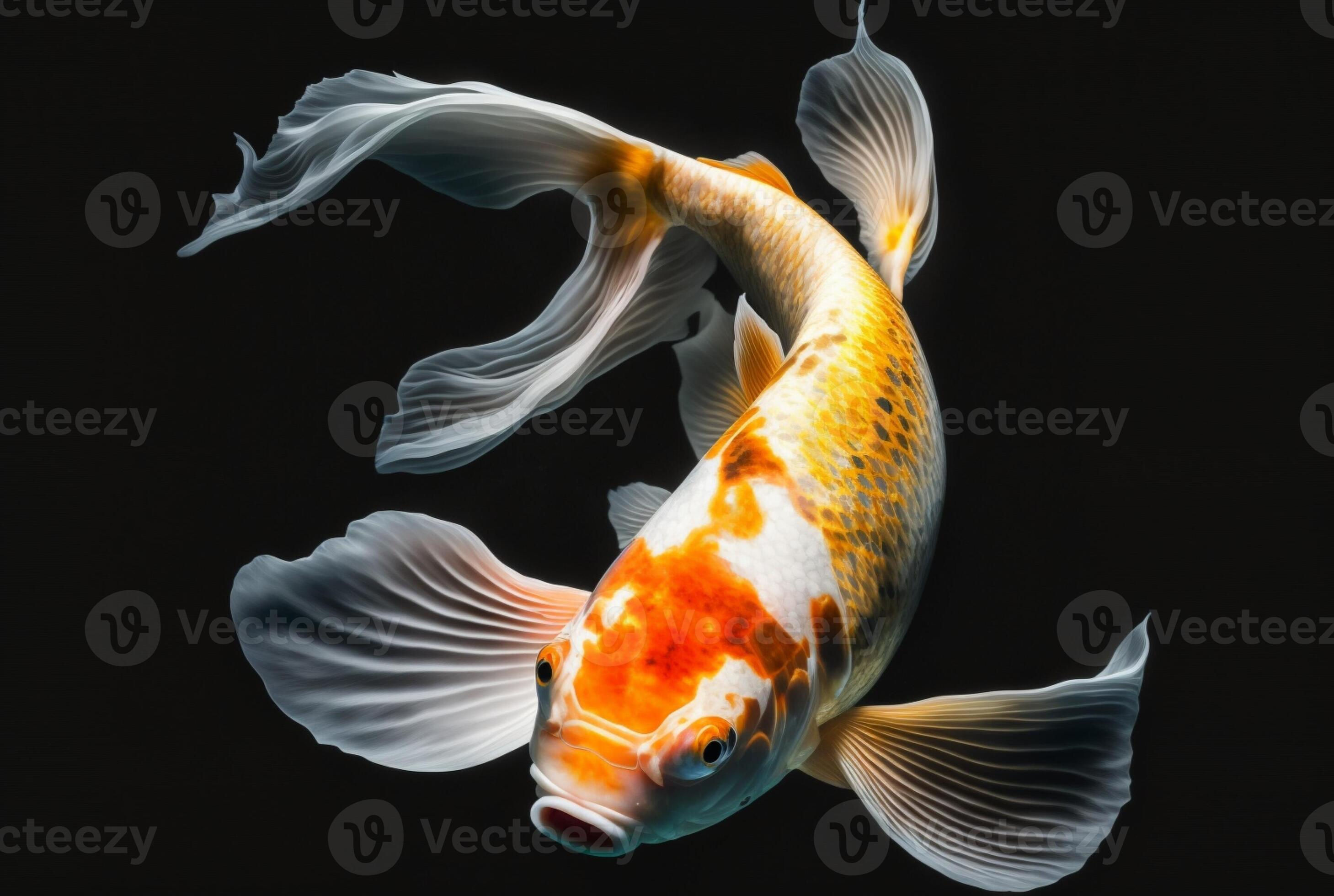 Wallpaper #4f2e6 Koi Fish Heart Original Watercolor Painting Etsy
