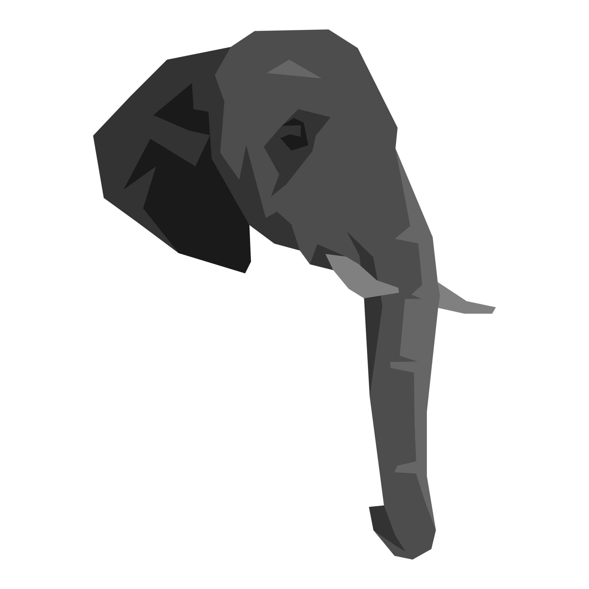 Wallpaper #fULzPJMBOBpx0NhmUcKW448 Elephant Head Monochrome Side View Cartoon Flat Vector Illustration