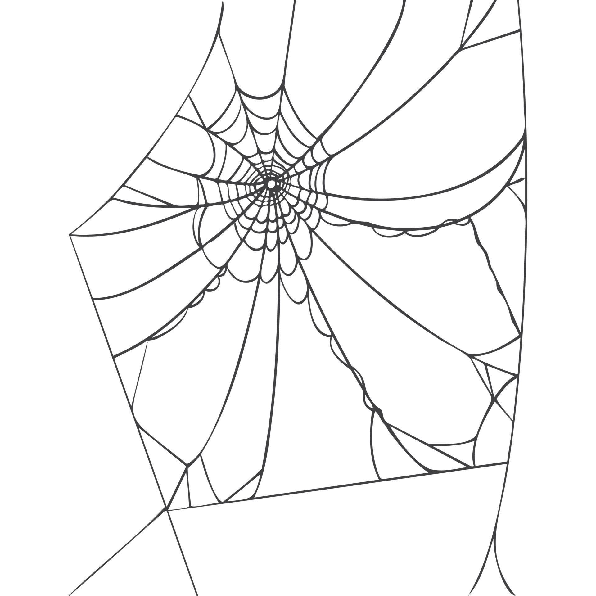 Wallpaper #F2jUHpMBSpphPi3-Fion319 Spider Web Isolated on White Background Realistic Hand Drawn Line