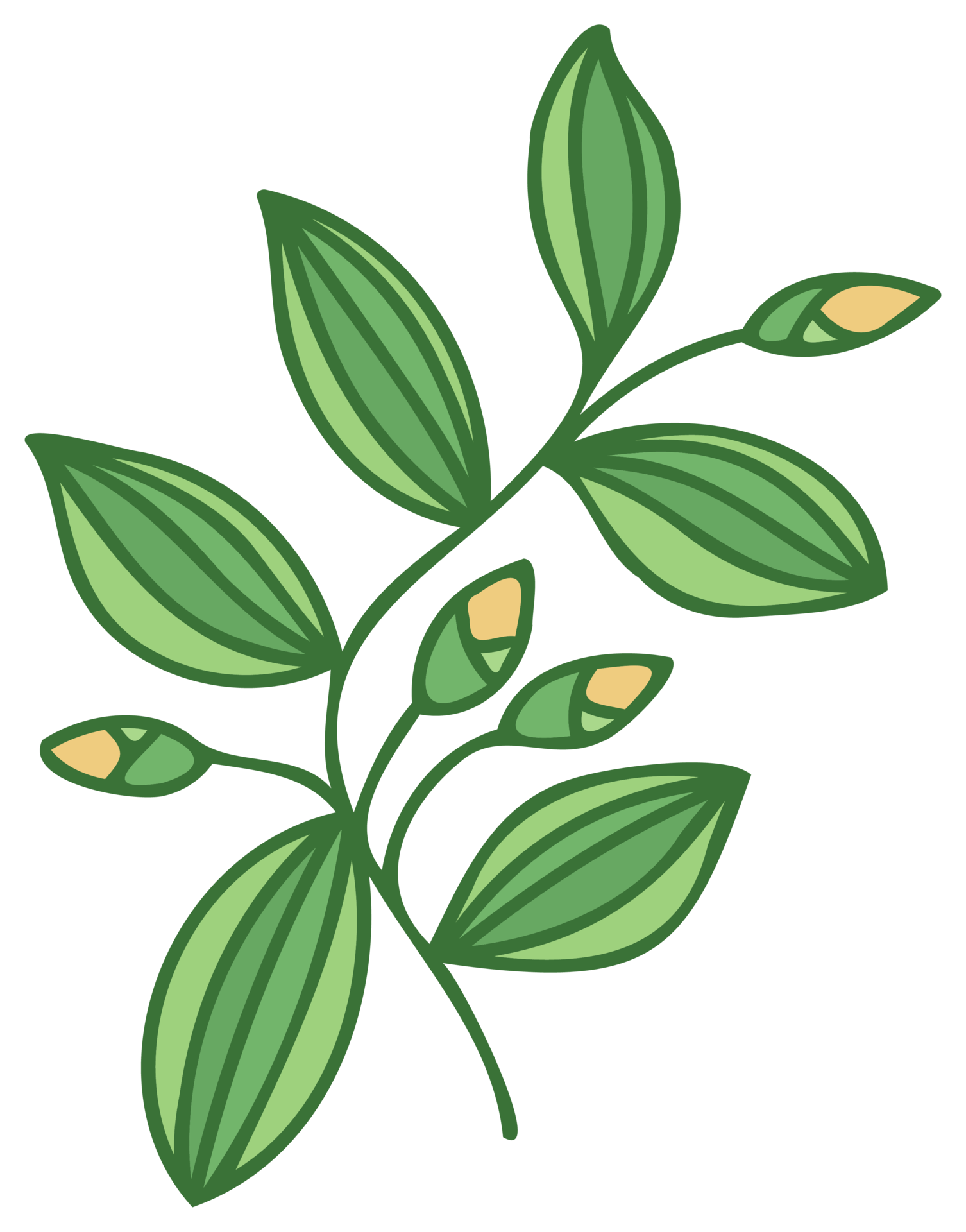 Wallpaper #HGhEGZMBSpphPi3-MRYQ259 Plant Illustration Nature Design Element Png with Transparent
