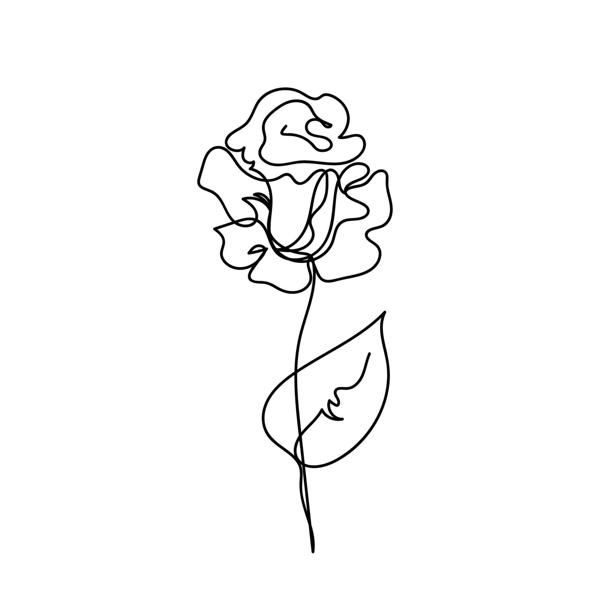 Wallpaper #92gMIpMBSpphPi3-LzF988 Rose Continuous Line Flowers Garden Outline Sketch Style Vector