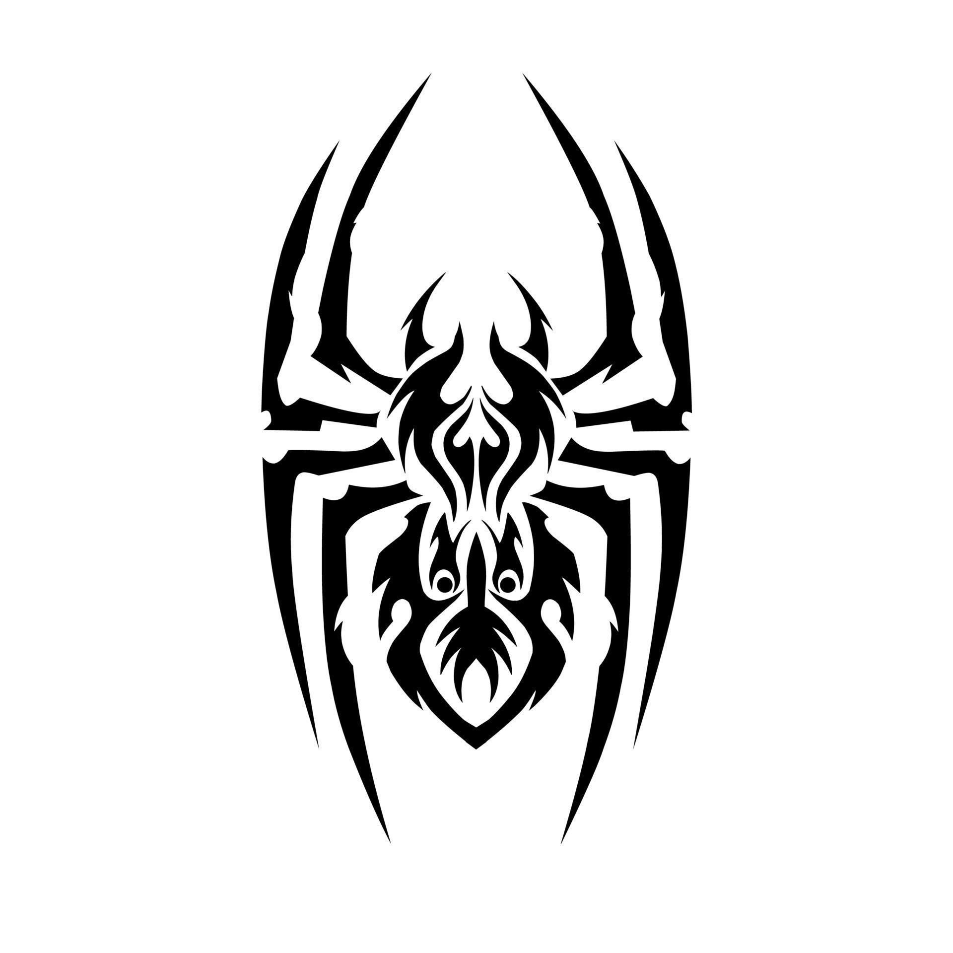 Wallpaper #RPS3OZMBKFX8bn3r6ncE207 Illustration Vector Graphic of Spider Tribal Art Design Tattoo 12201750